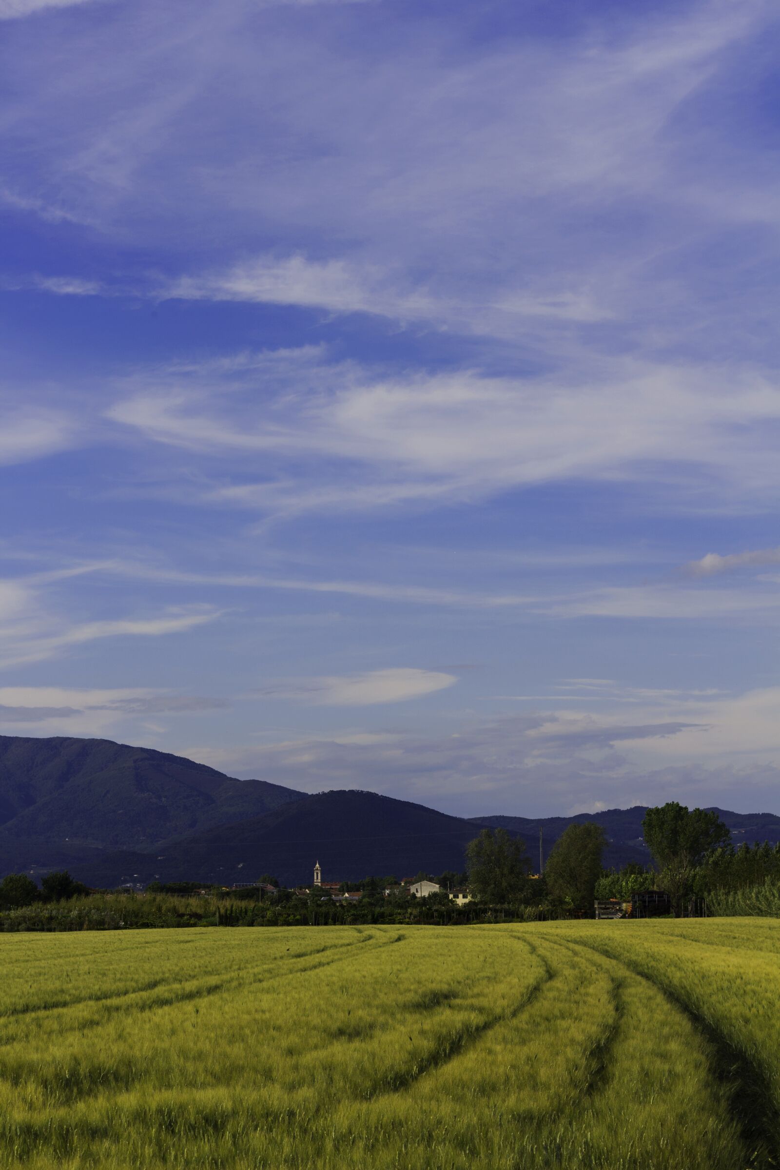 Canon EOS 700D (EOS Rebel T5i / EOS Kiss X7i) + Canon EF 50mm F1.8 STM sample photo. Landscape, nature, sea photography