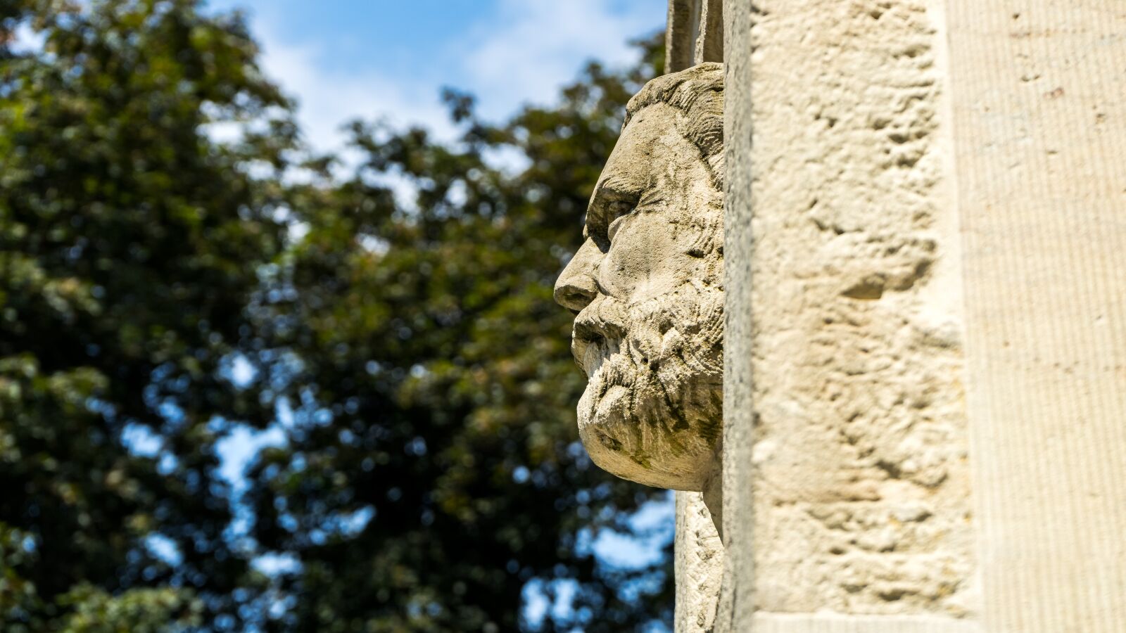 Sony a7 II + Sony FE 28-70mm F3.5-5.6 OSS sample photo. Face, sculpture, head photography