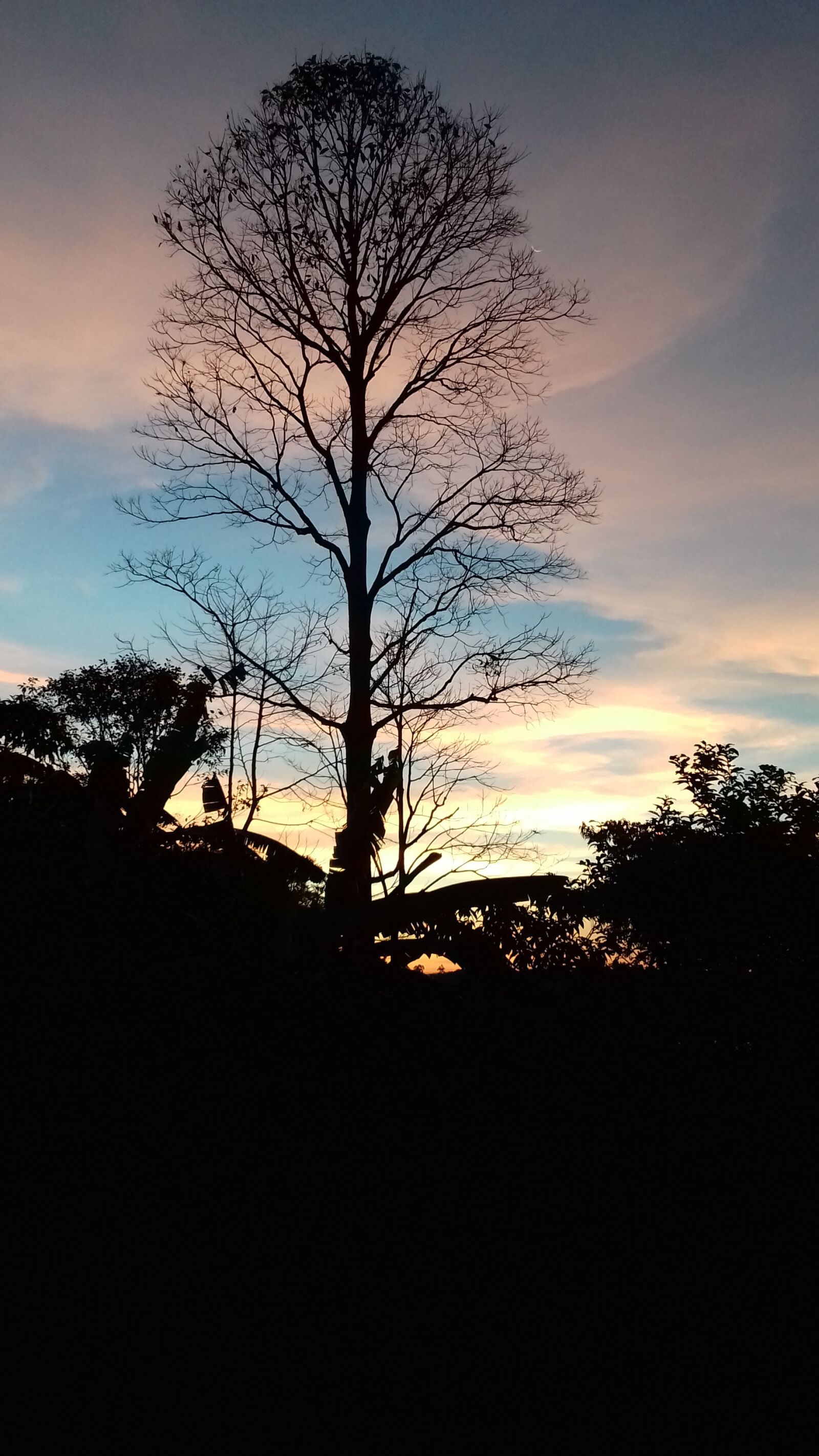 Samsung Galaxy J3(2016) sample photo. Paisagem, céu, árvore photography