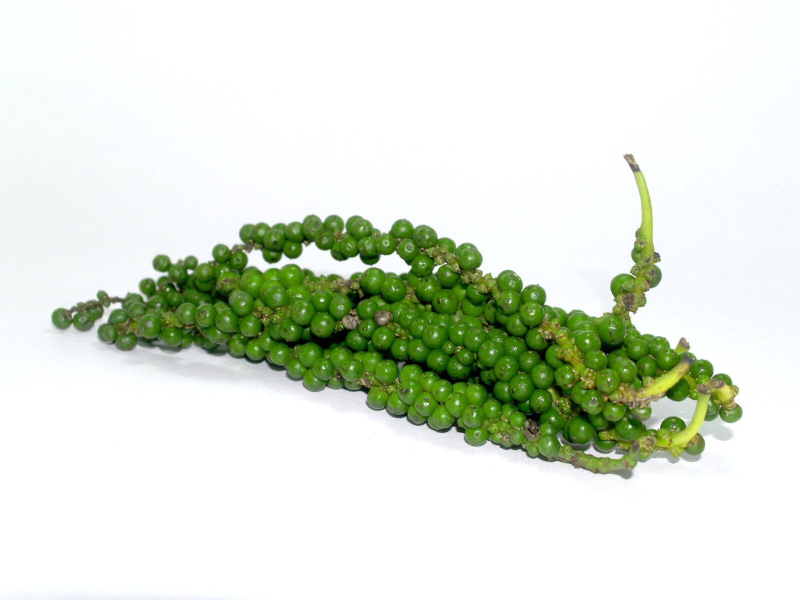 Olympus E-300 (EVOLT E-300) sample photo. Antioxidant, aromatic, bell, pepper photography