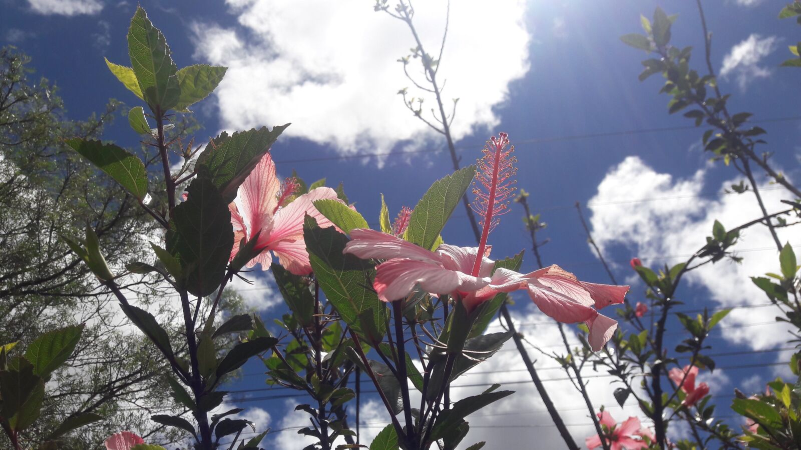 Samsung Galaxy A5(2016) sample photo. Sky, sun, clouds photography