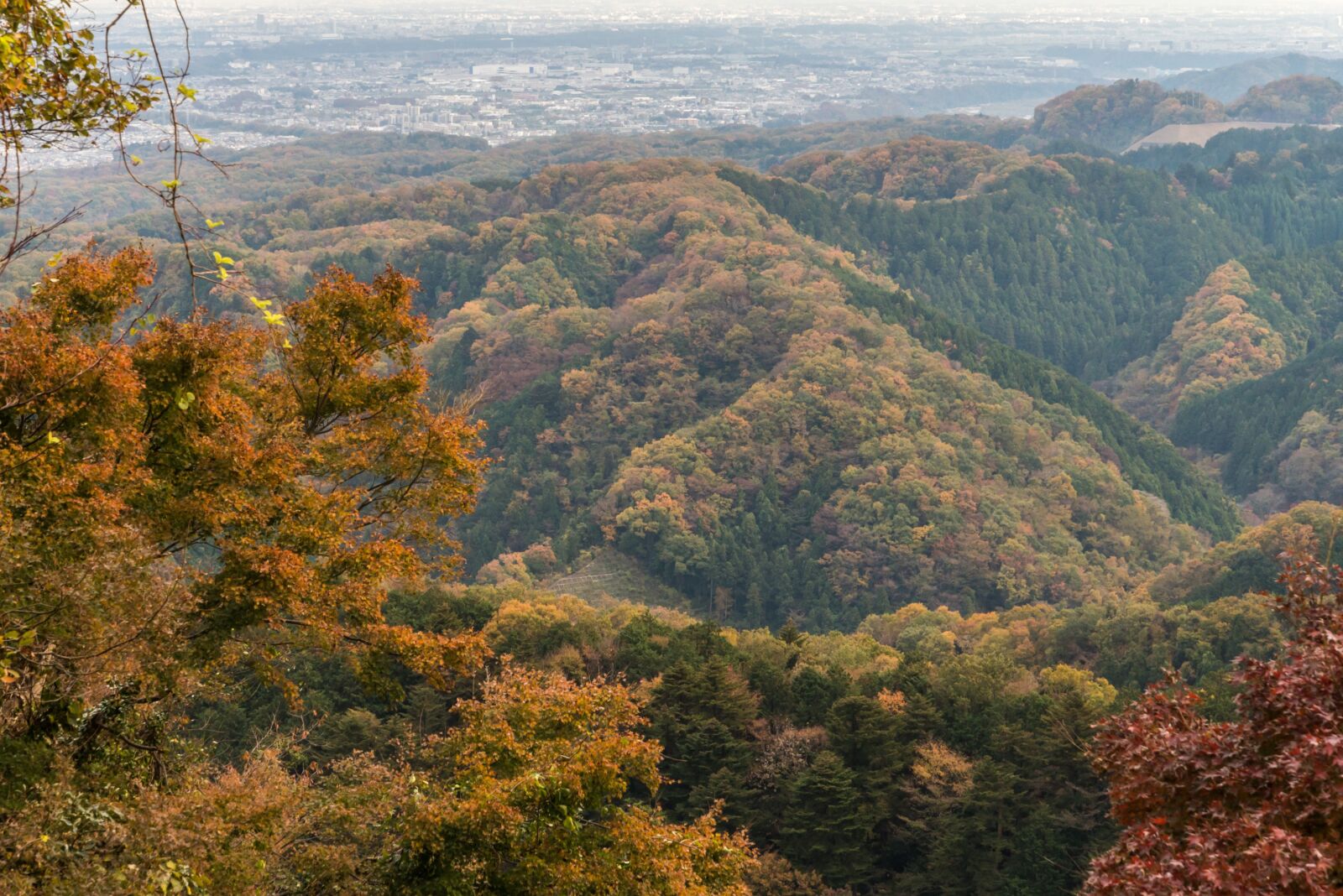 Nikon D610 sample photo. Autumn, japan, mt takao photography