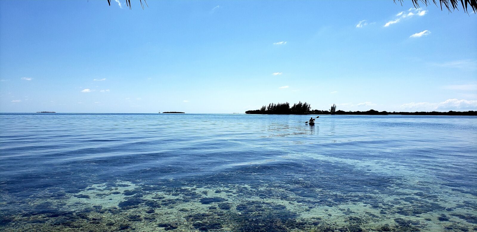 Samsung Galaxy S9+ sample photo. Kayak, belize, ocean photography