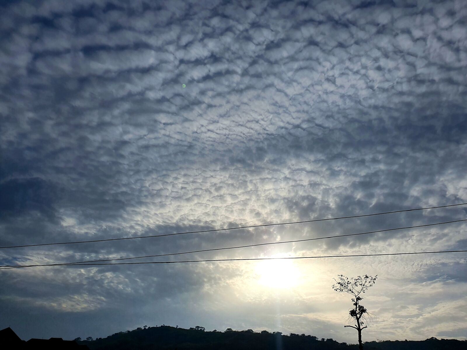 Samsung Galaxy S10 sample photo. Sky, blue, nature photography