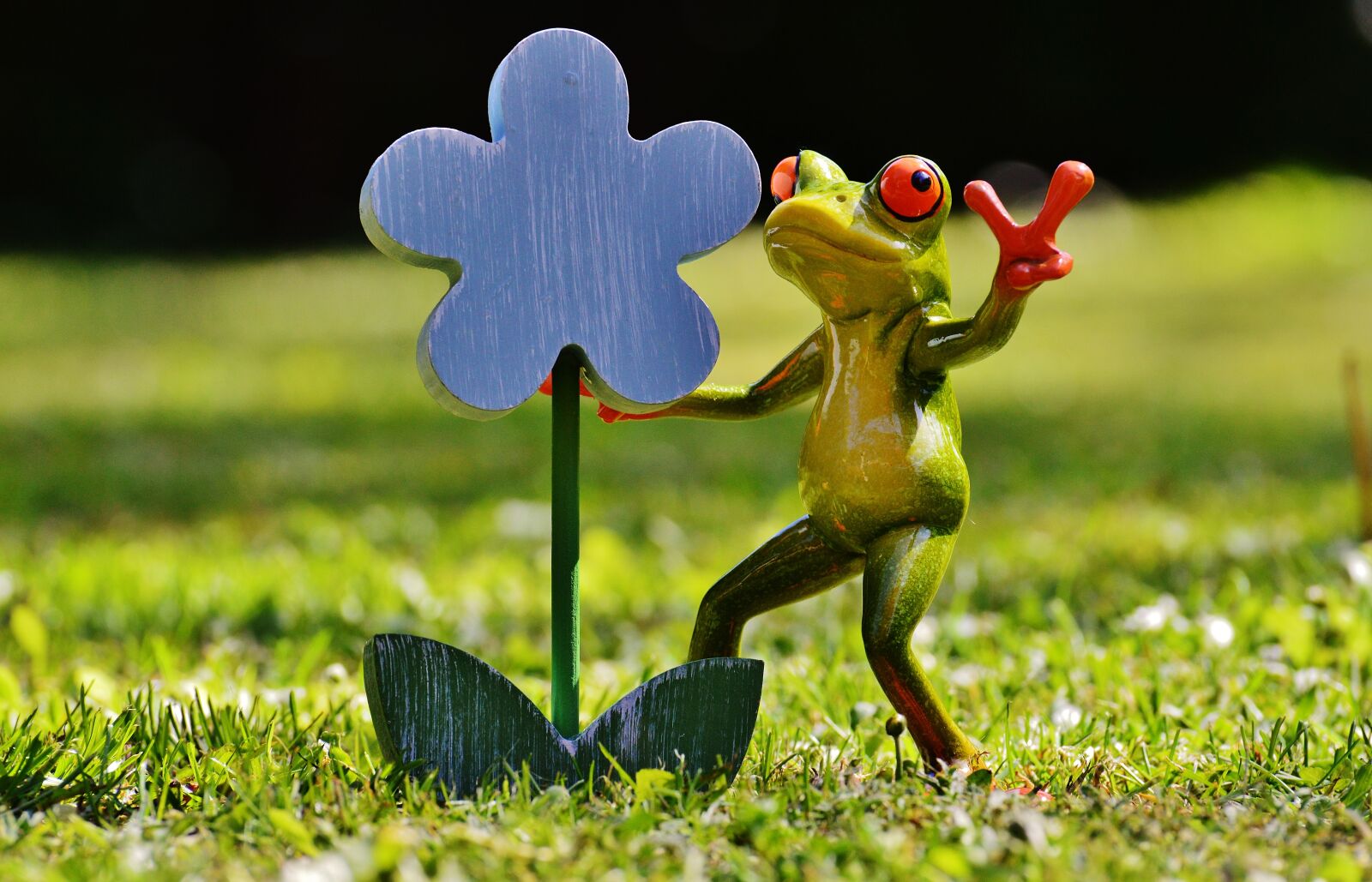 Nikon D3200 sample photo. Frog, flower, funny photography