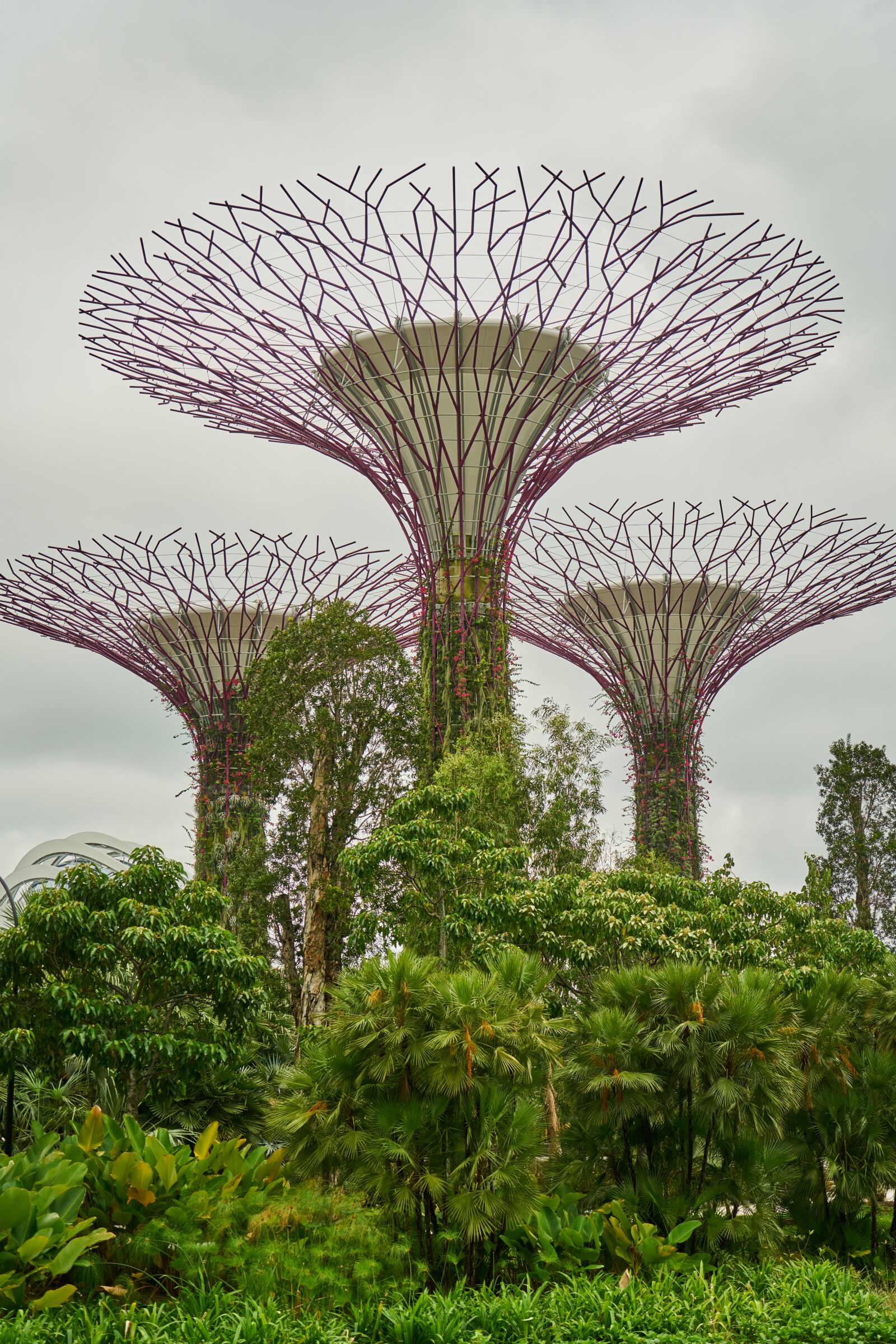 Sony a7R II sample photo. Plant, singapore, park photography
