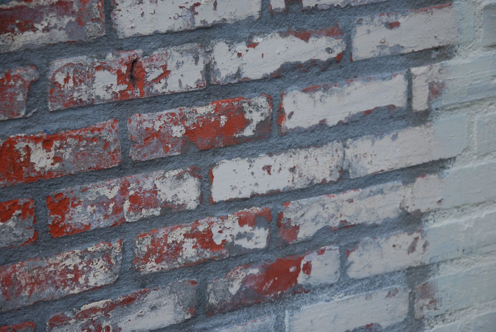 Nikon D80 sample photo. Brick wall, old, brick photography