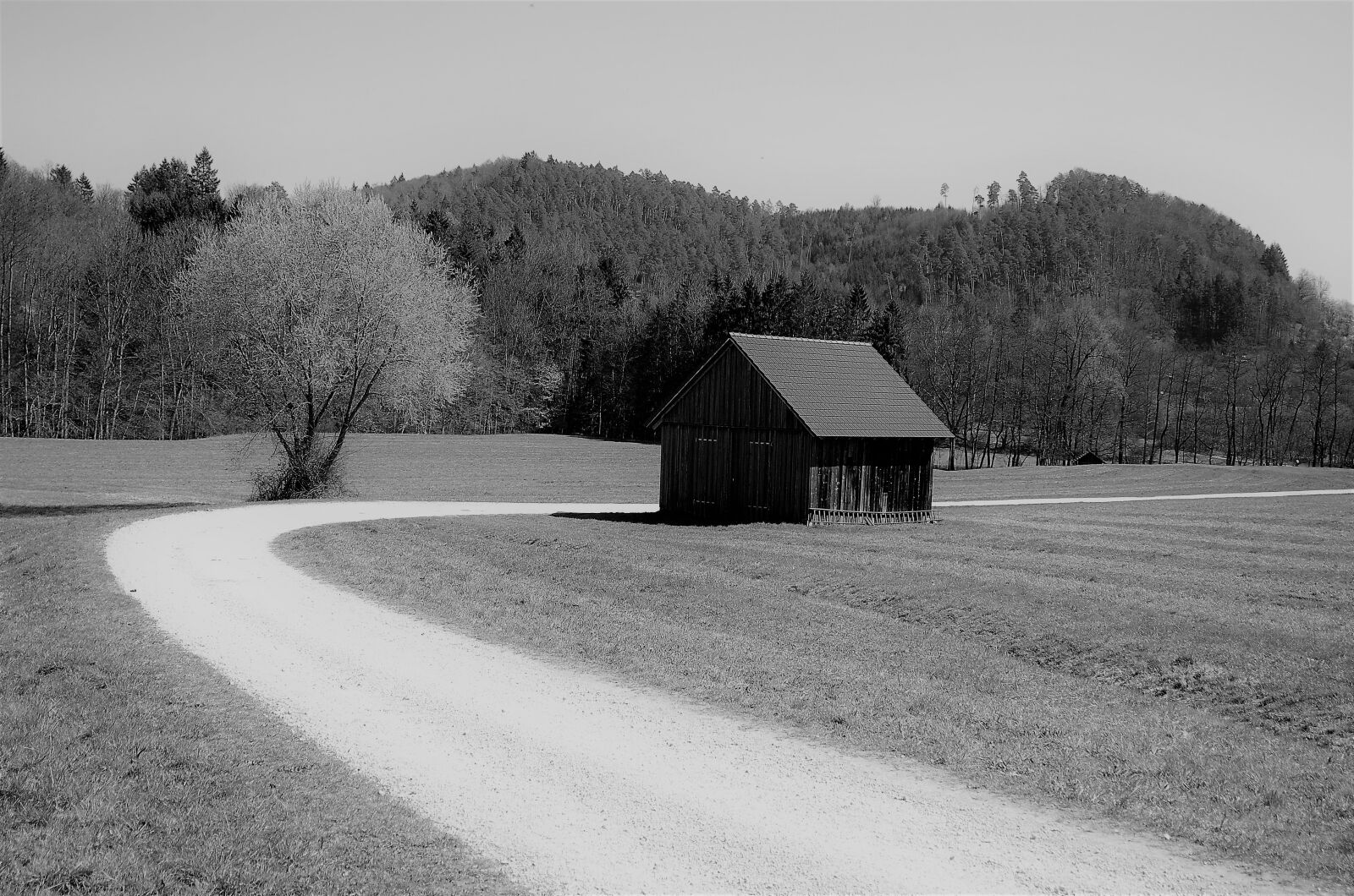 Nikon D7000 sample photo. Urbach, welzheimer forest, log photography