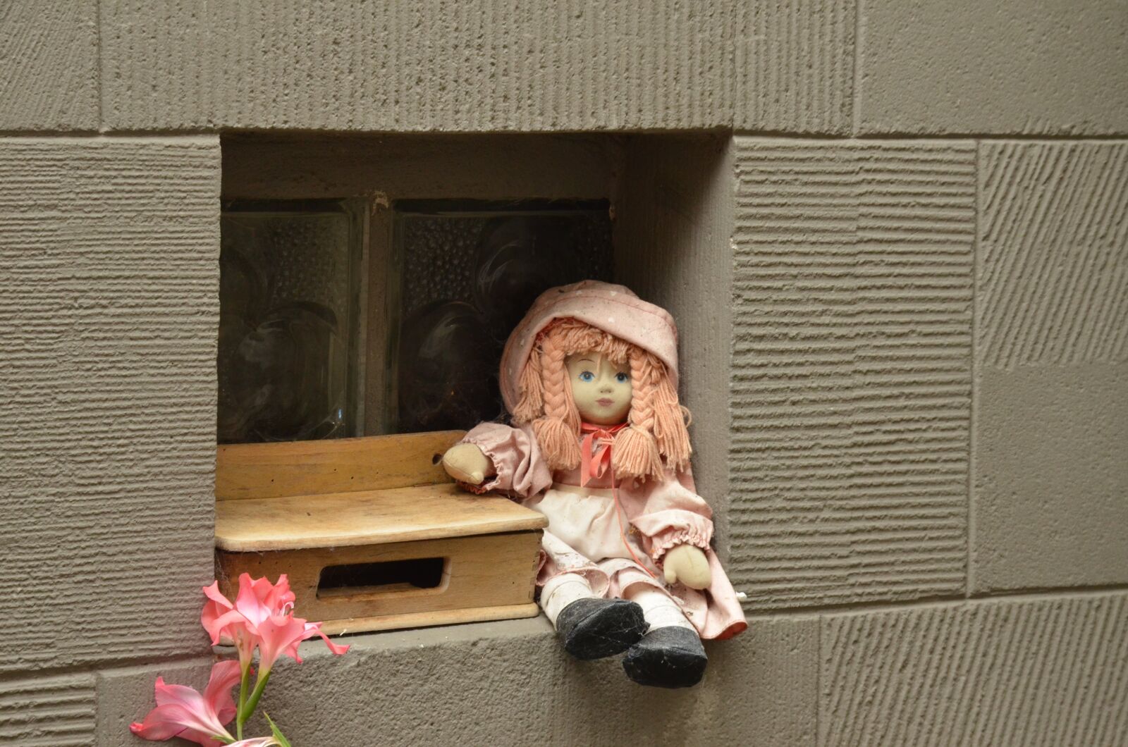 Nikon D7000 sample photo. Pop, window, wall photography