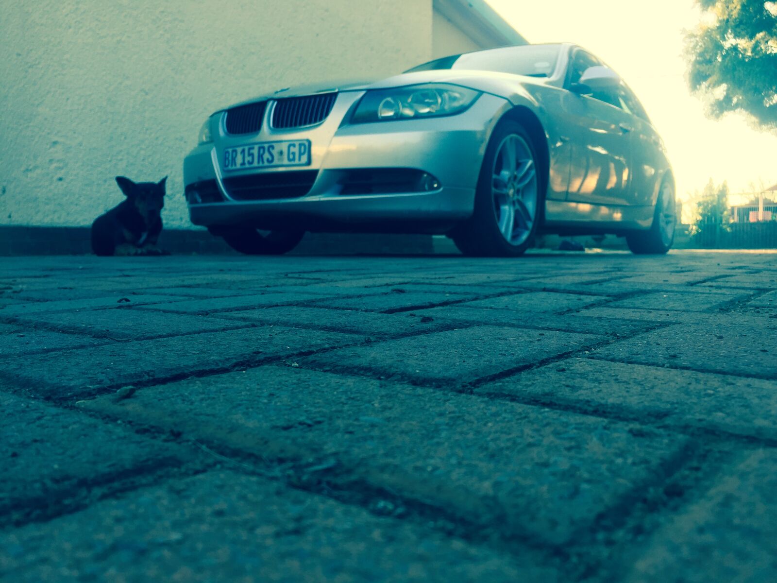 iPhone 6 back camera 4.15mm f/2.2 sample photo