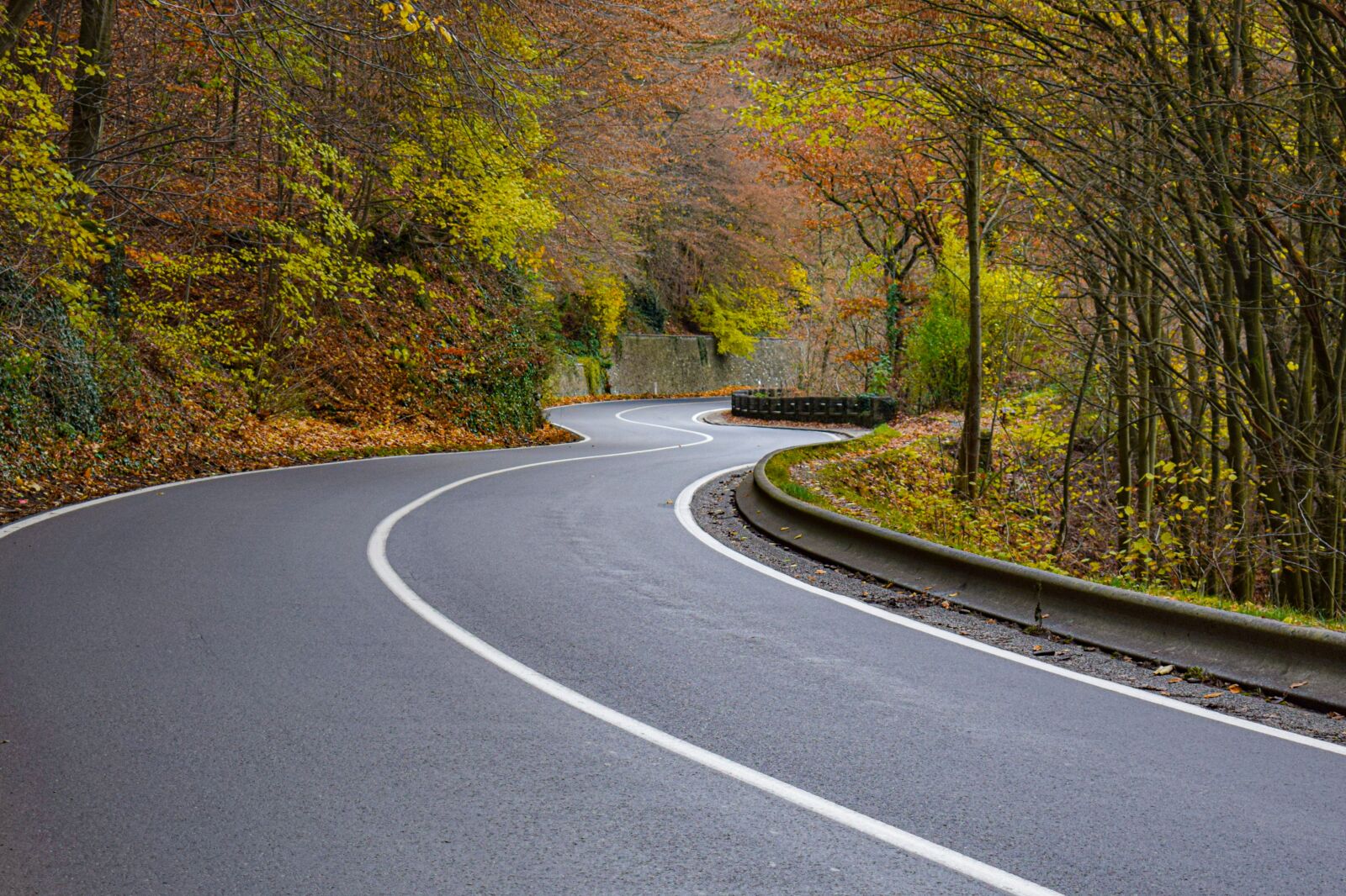 Nikon D5300 sample photo. Road, autumn, trees photography