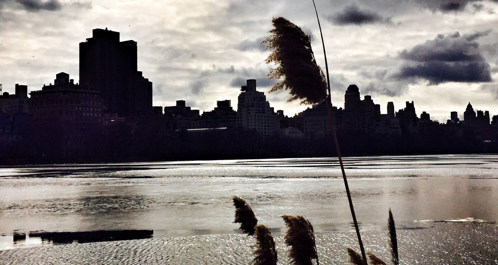 iPhone 6 back camera 4.15mm f/2.2 sample photo. Central, park, new, york photography