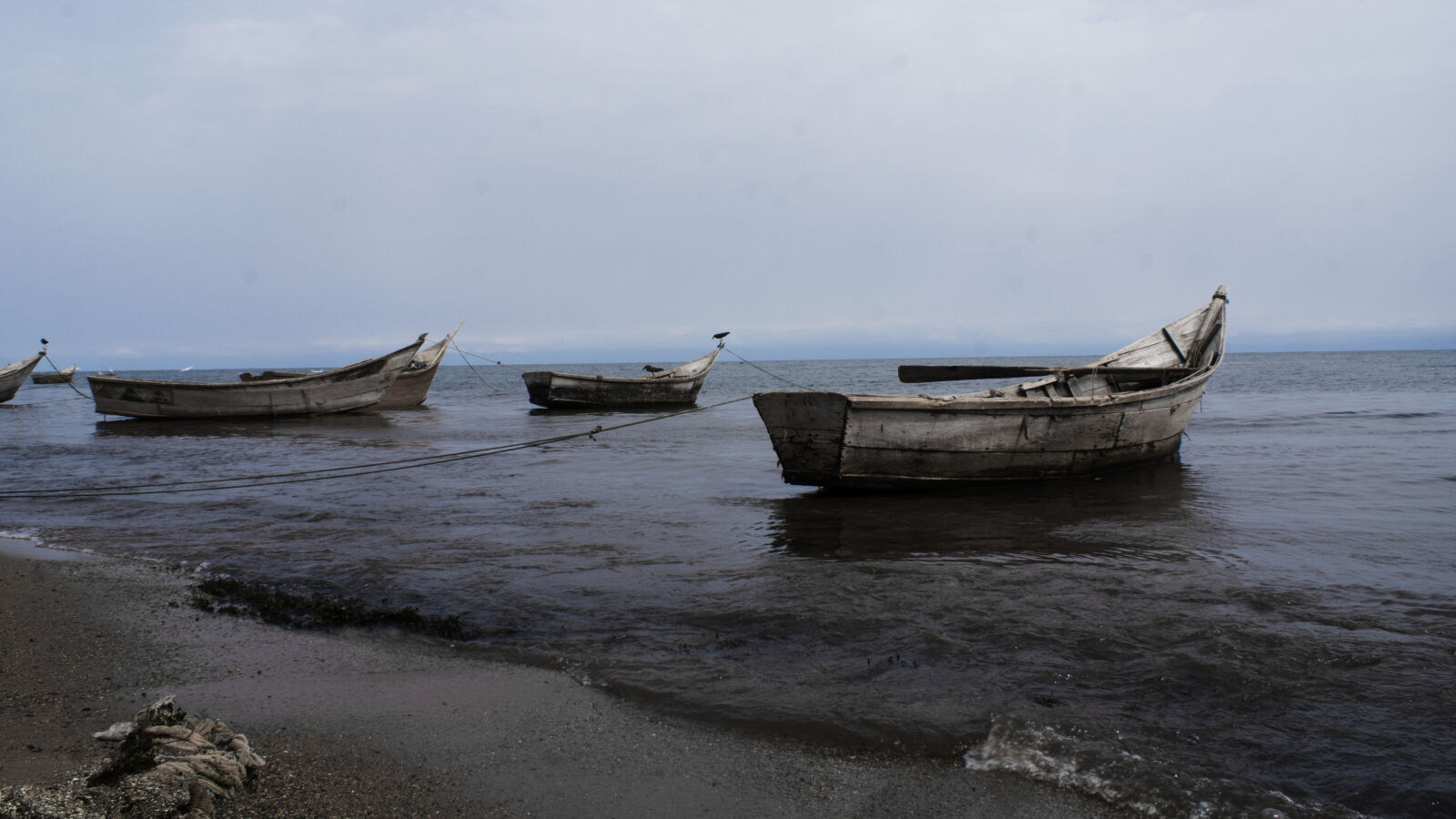 Sony Alpha DSLR-A100 sample photo. Sailing, fishing, boats, lonely photography