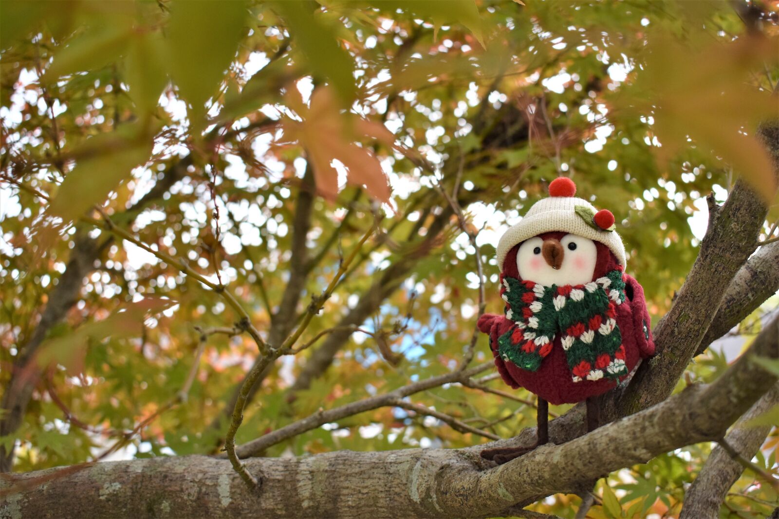 Nikon D3400 sample photo. Christmas decoration, happy holidays photography