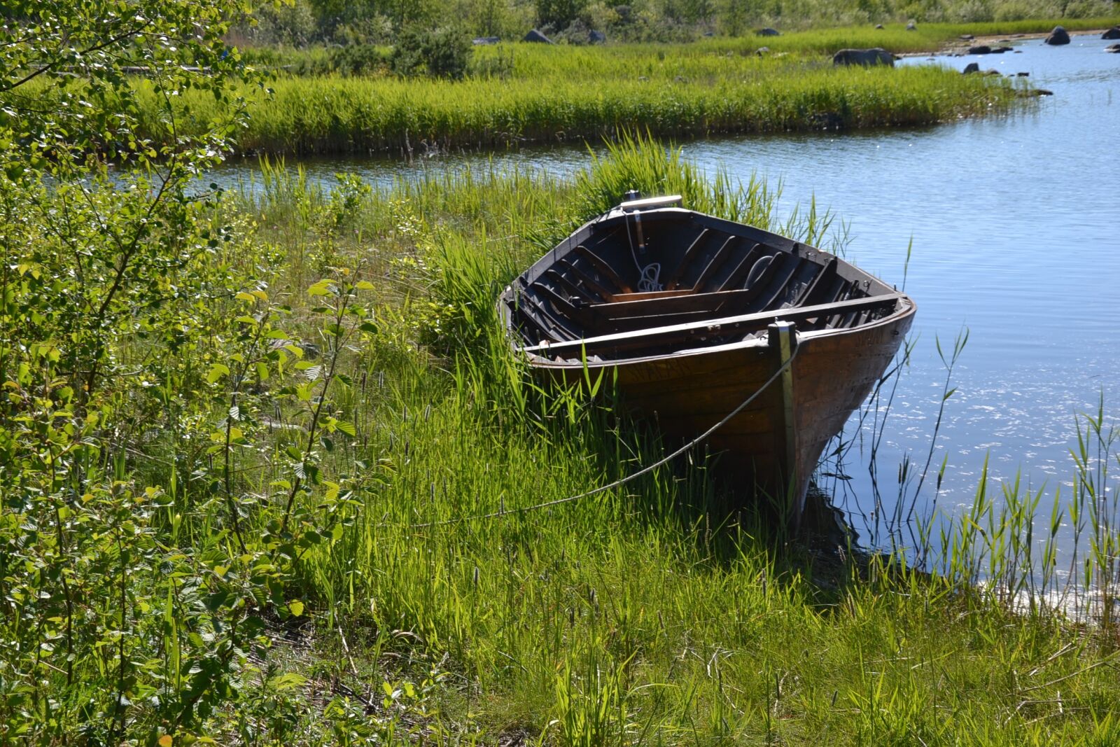 Nikon D3100 sample photo. Nature, summer, seaside photography