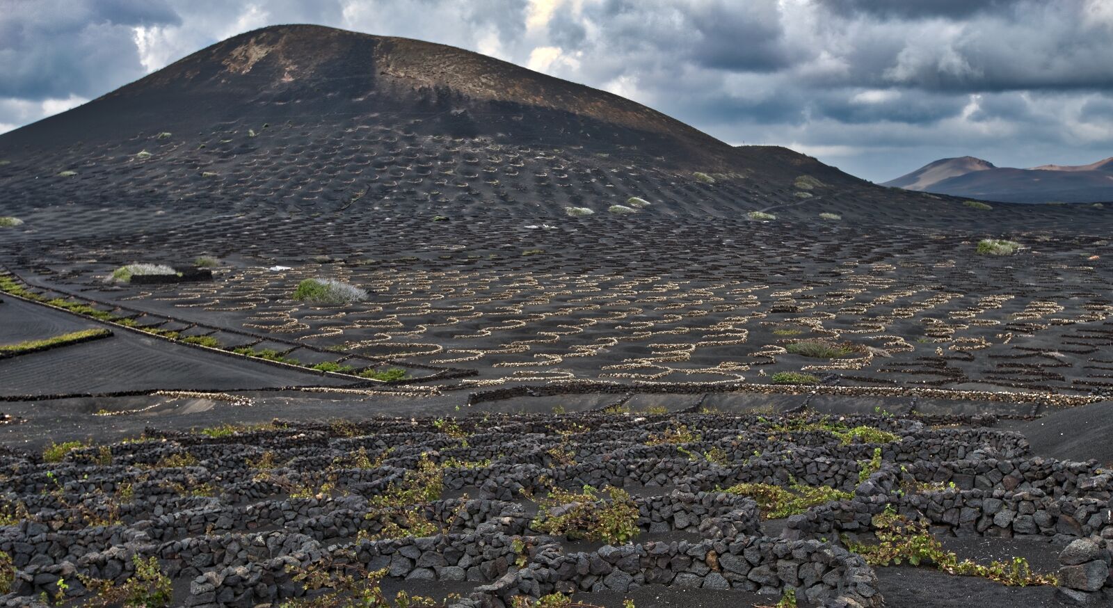 Nikon D800 sample photo. Mountain, wine maker, vines photography