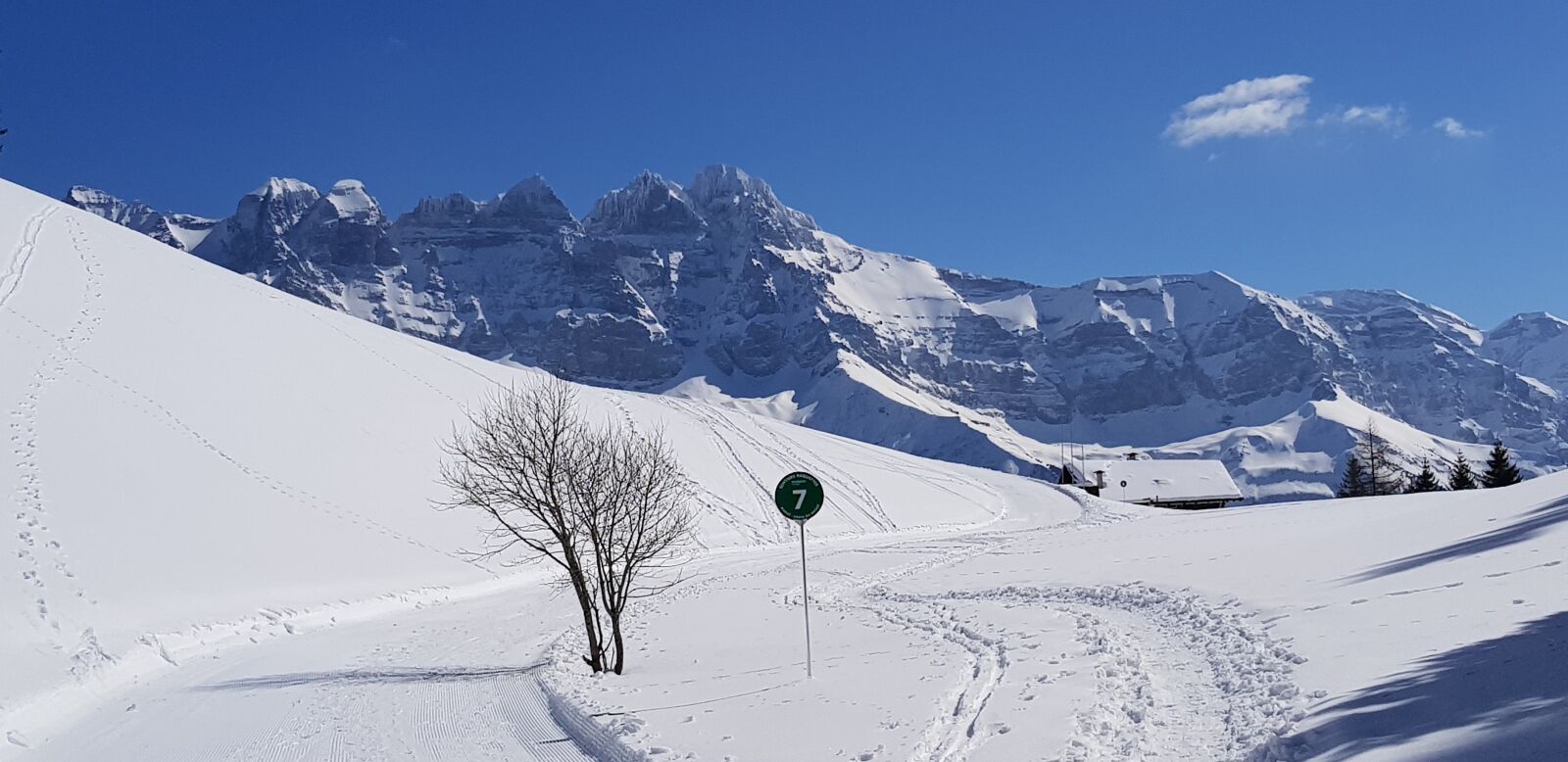 Samsung Galaxy S8 sample photo. Ride, mountain, snow photography