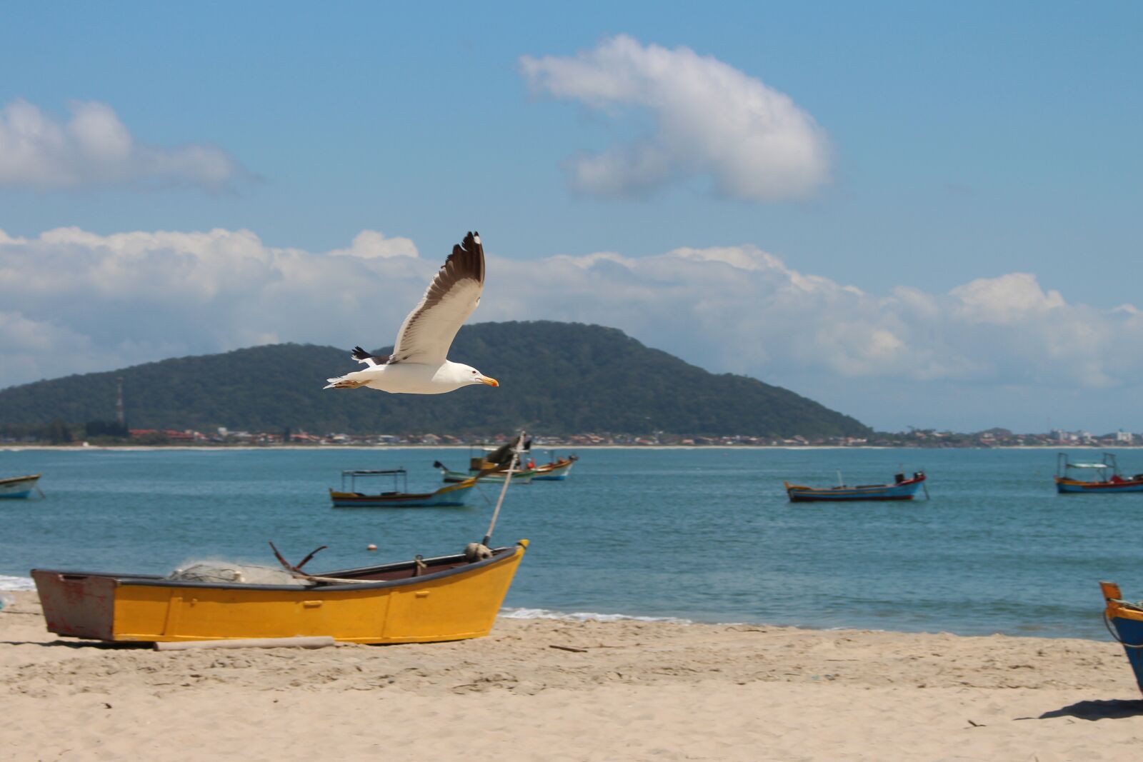 Canon EOS 700D (EOS Rebel T5i / EOS Kiss X7i) sample photo. Sky, beach, clouds photography
