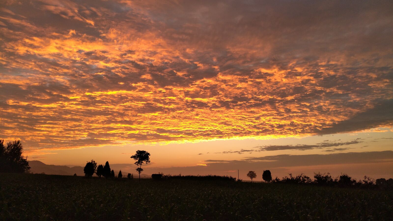 nubia Z11 MINI sample photo. Sunset, nature photography