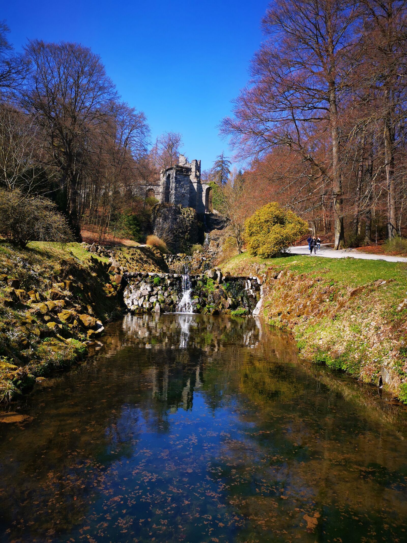 HUAWEI LYA-L29 sample photo. Park, nature, blue sky photography