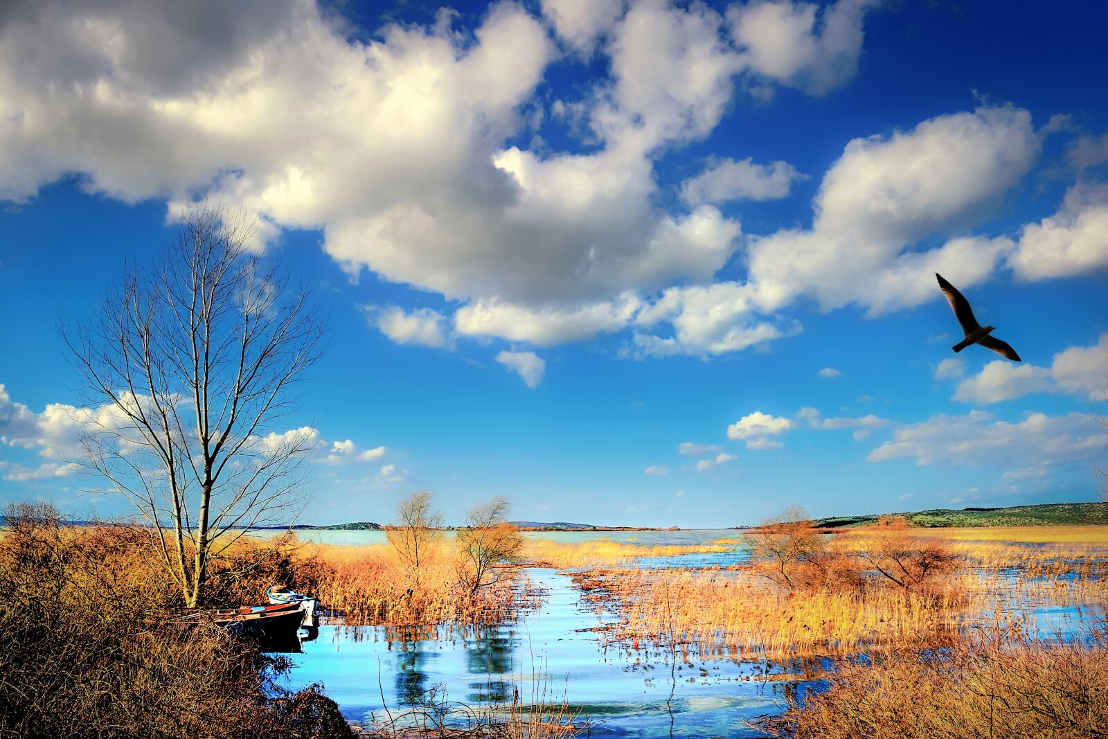 Nikon D3S sample photo. Landscape, lacquer, clouds photography