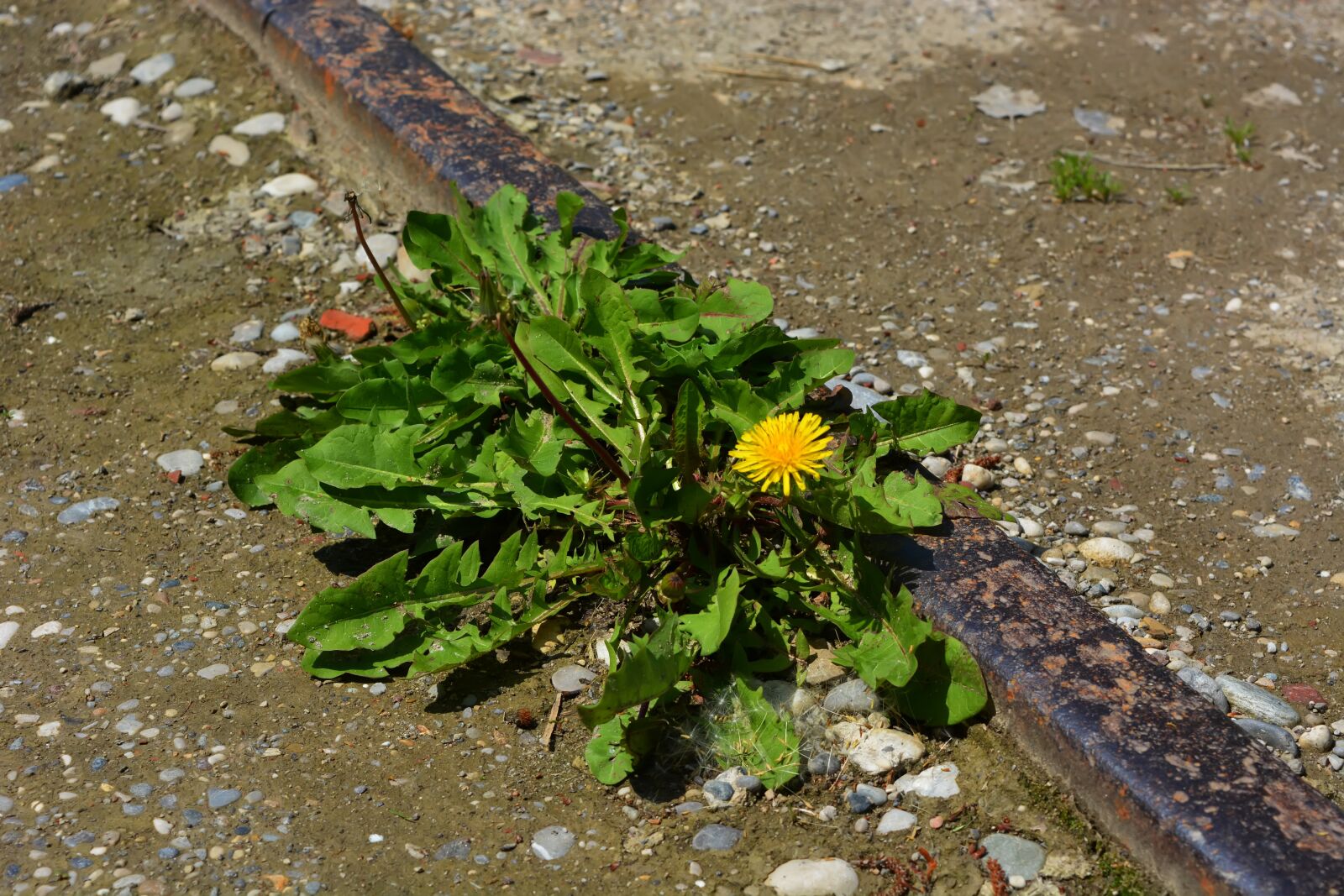 Nikon D5200 sample photo. Konzentrationslager, dachau, history photography