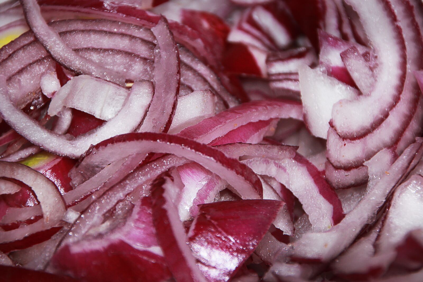 Canon EOS 550D (EOS Rebel T2i / EOS Kiss X4) sample photo. Onions, salad, healthy photography