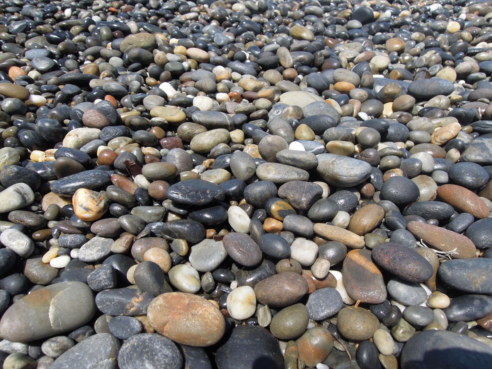 Nikon Coolpix P300 sample photo. Stone, rocky, beach photography