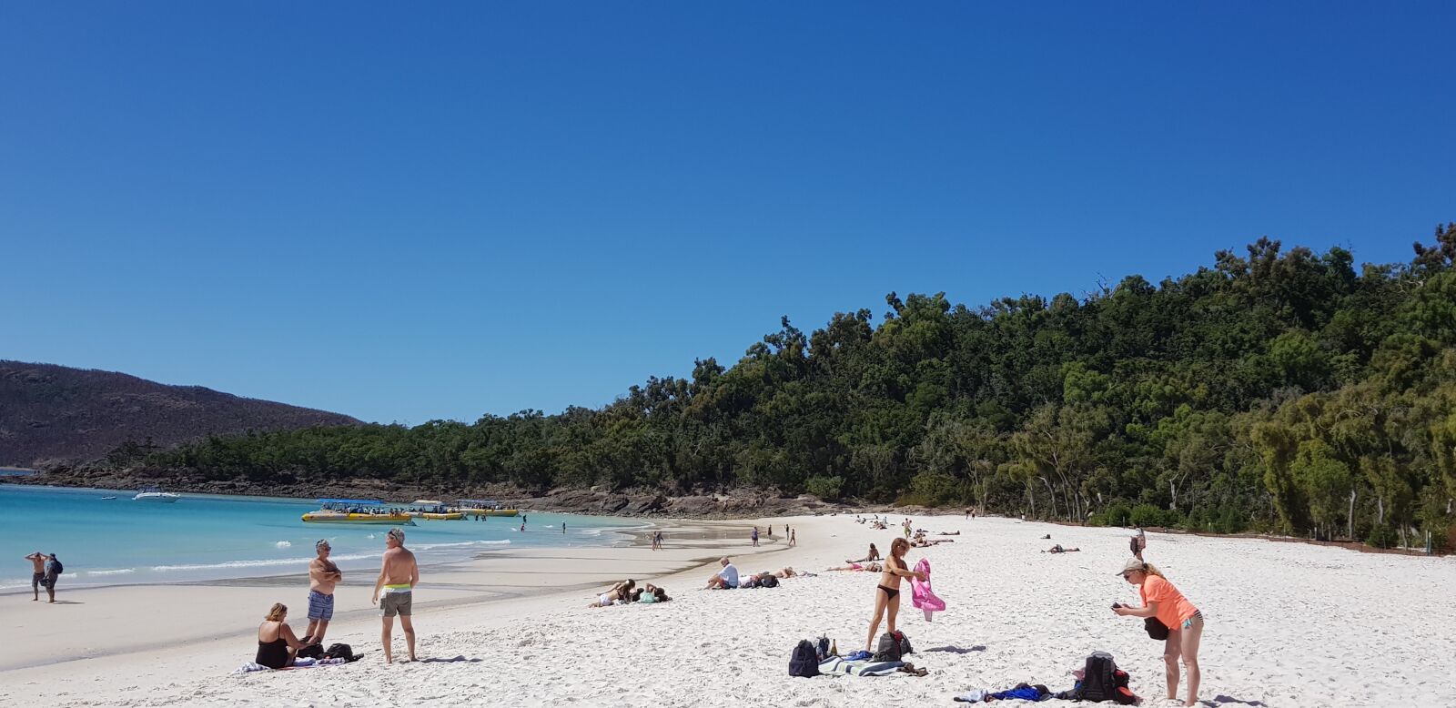 Samsung Galaxy S8+ sample photo. Queensland, great barrier reef photography
