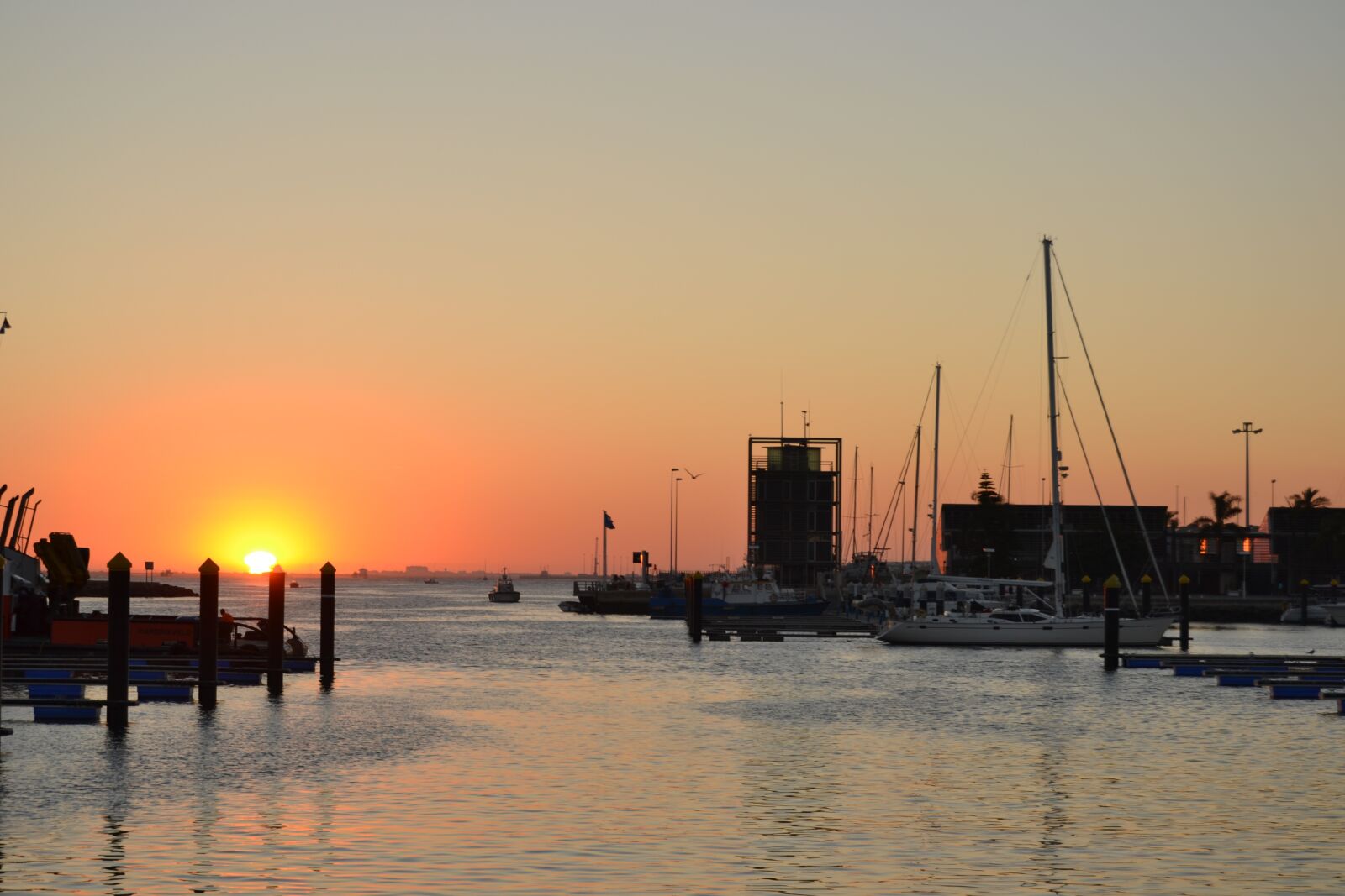 Nikon D3100 sample photo. Sunset, summer, afternoon photography