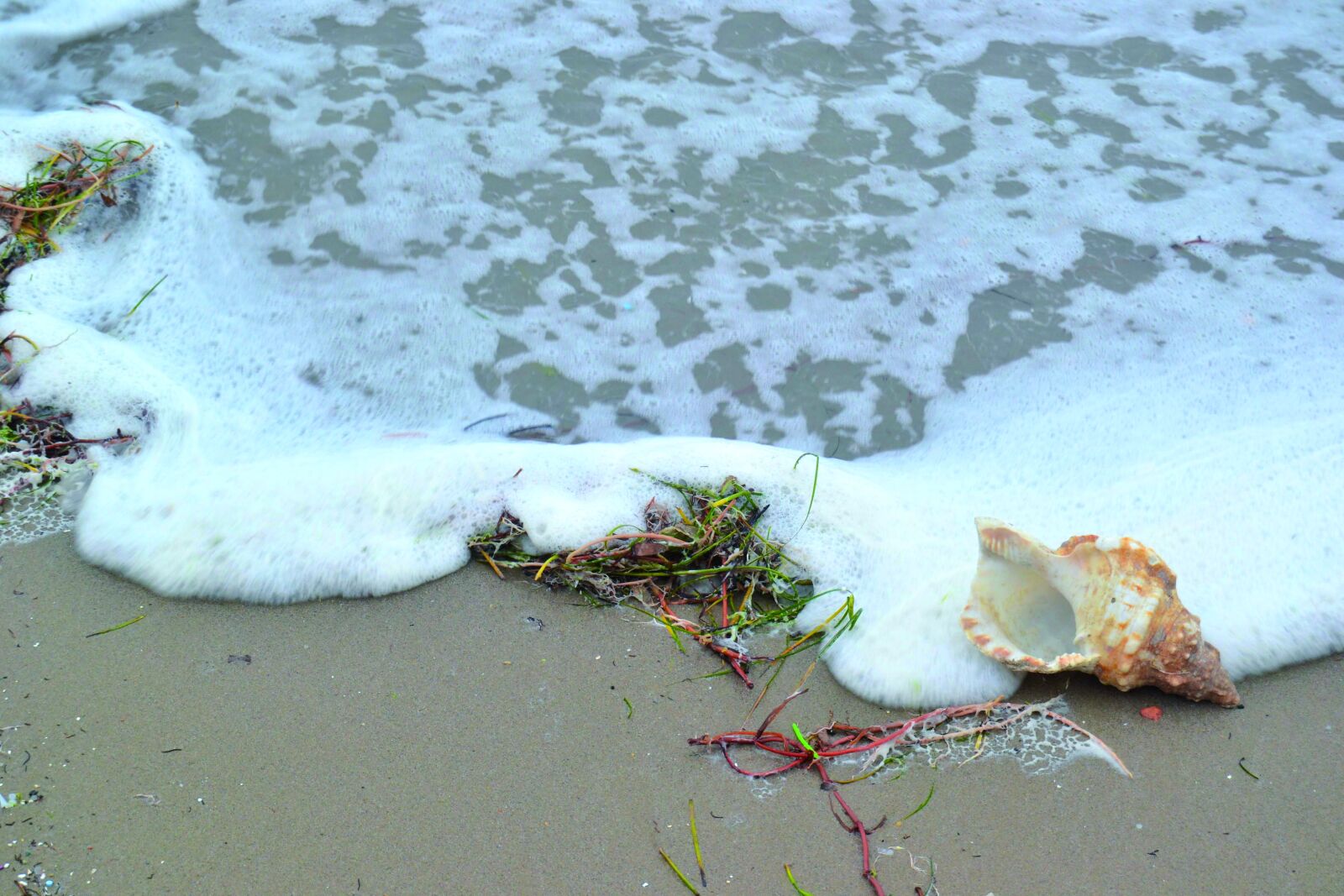 Nikon D3100 sample photo. Beach, sea, ocean photography