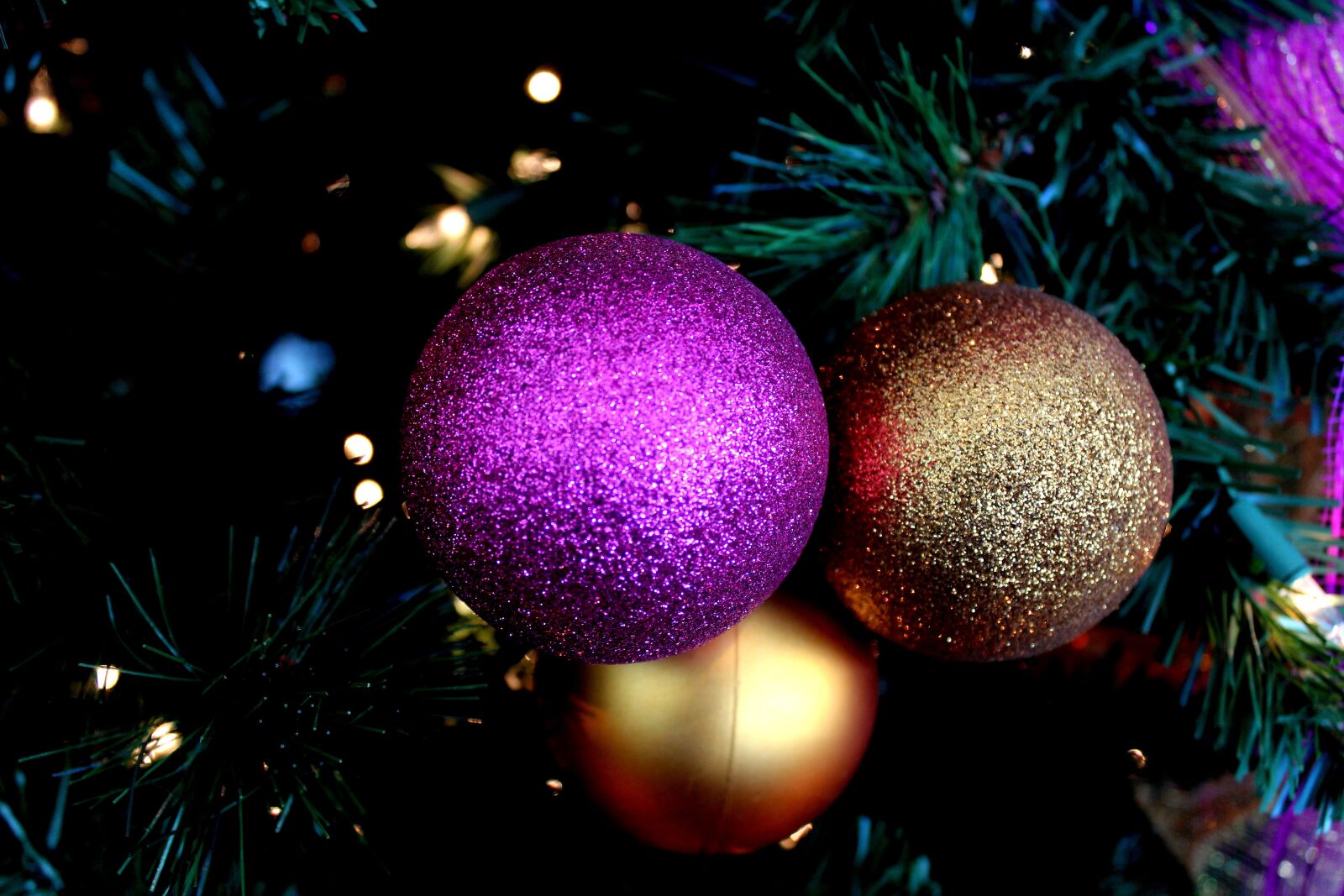 Canon EOS 1200D (EOS Rebel T5 / EOS Kiss X70 / EOS Hi) sample photo. Seasonal, christmas, decoration photography