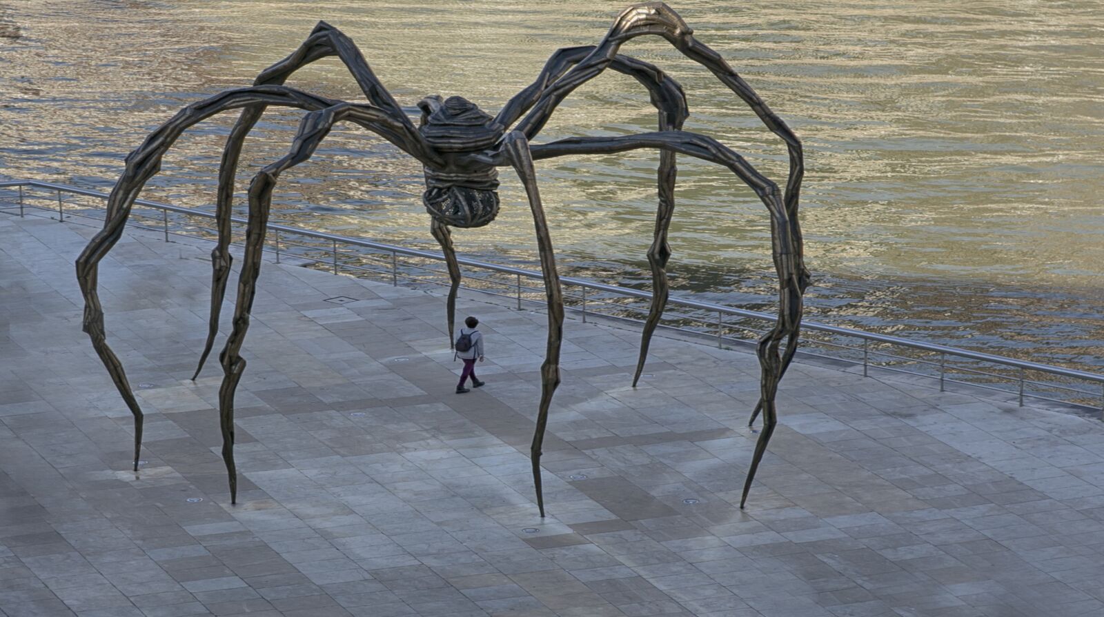 Canon EF 24-70mm F2.8L USM sample photo. Sculpture, spider, bilbao photography