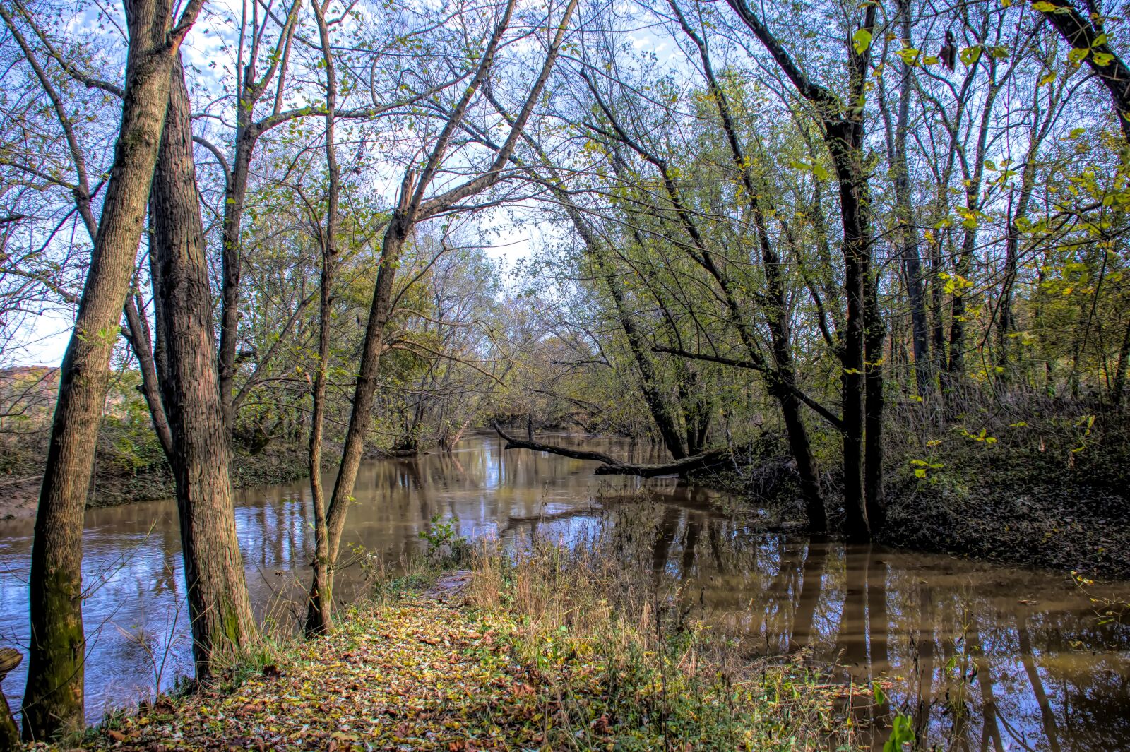 Nikon D850 sample photo. River, water, trees photography