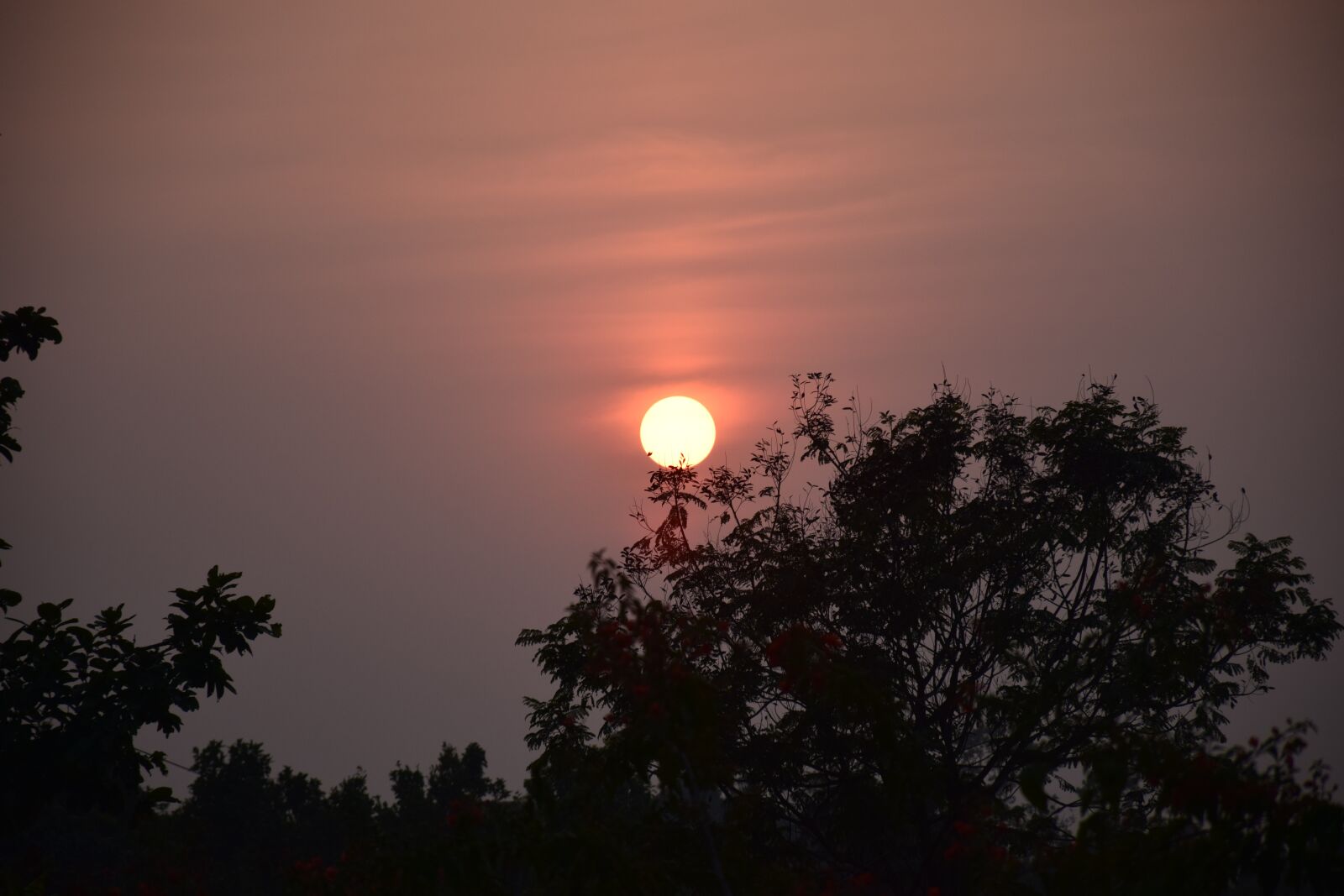 Nikon D5300 sample photo. Sunset, sun, dawn photography