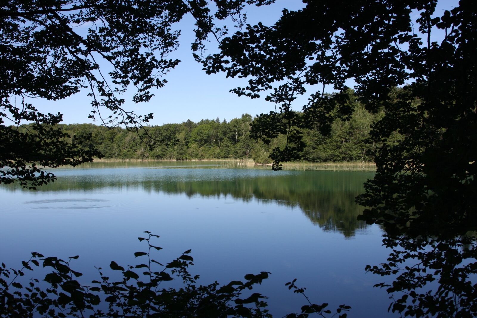 Canon EOS 40D sample photo. Lake, jura, water photography
