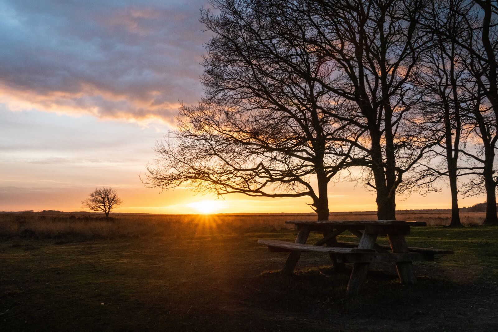 Sony a6300 sample photo. Sunset, bench, trees photography
