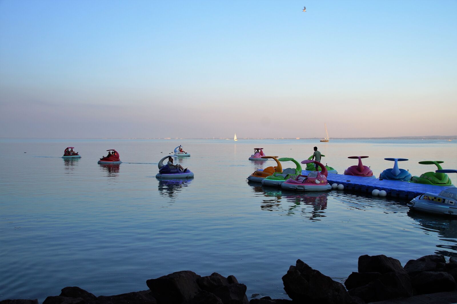 Sony SLT-A58 sample photo. Pumps, electro vessel, pedal photography