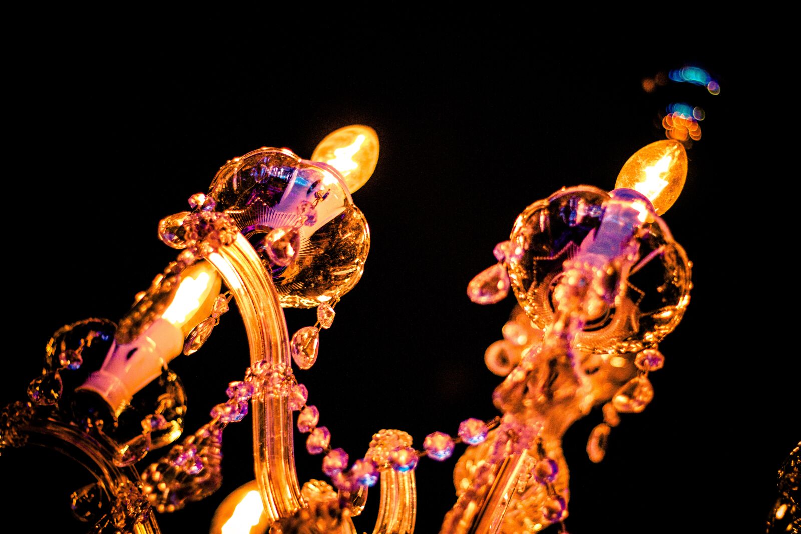 Canon EOS 70D + Canon EF 50mm F1.8 STM sample photo. Lamp, light, noble photography