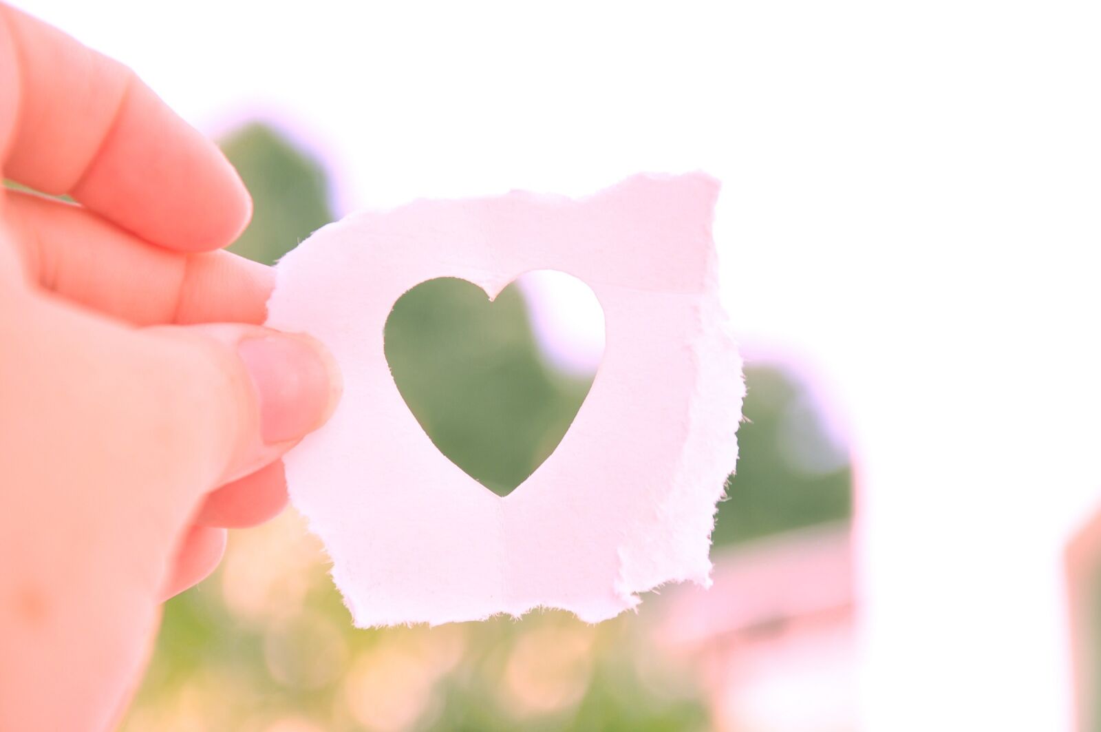 Nikon D90 sample photo. Heart, cut out, paper photography