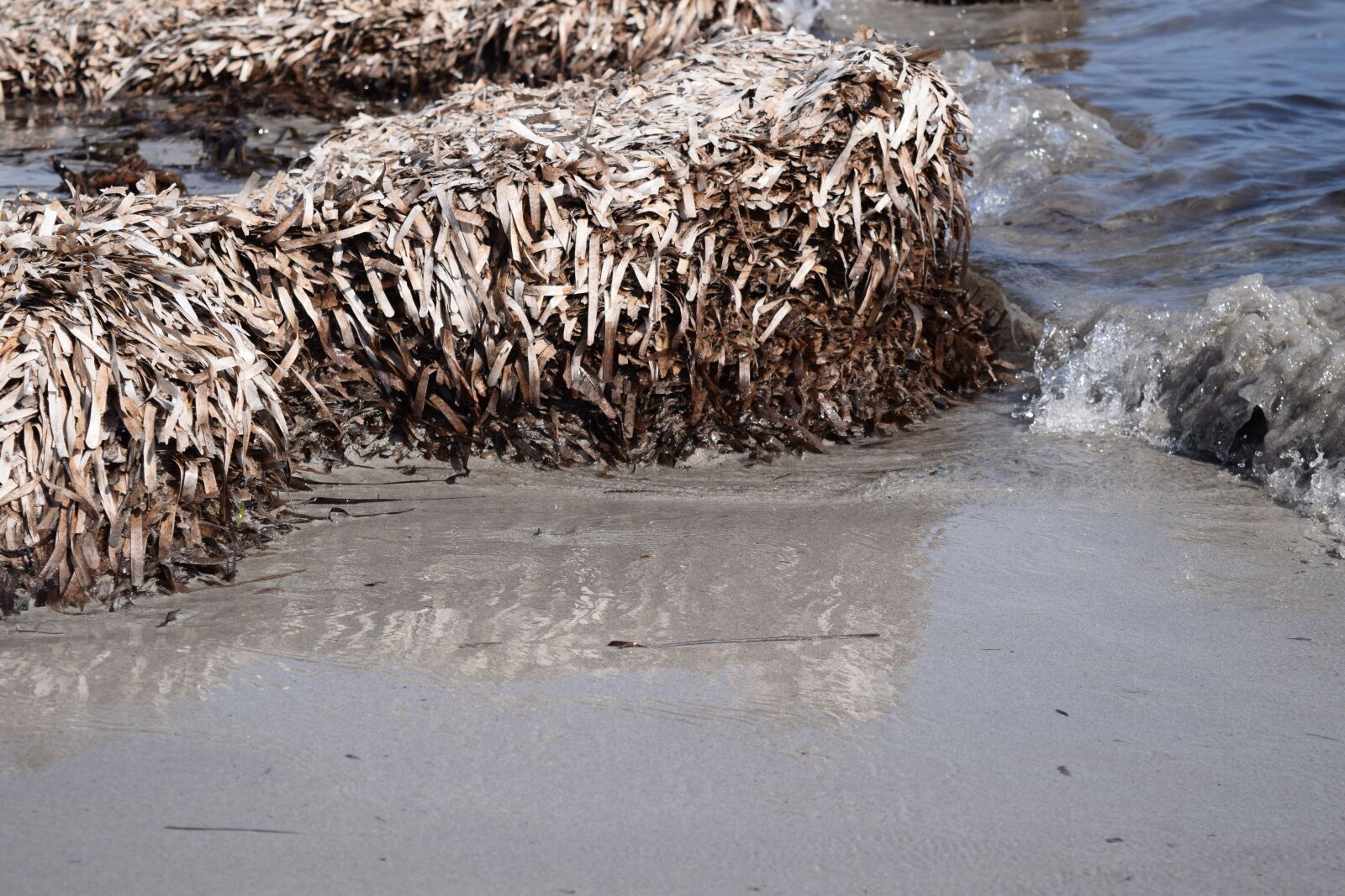 Nikon D3300 sample photo. Beach, sand, sea photography