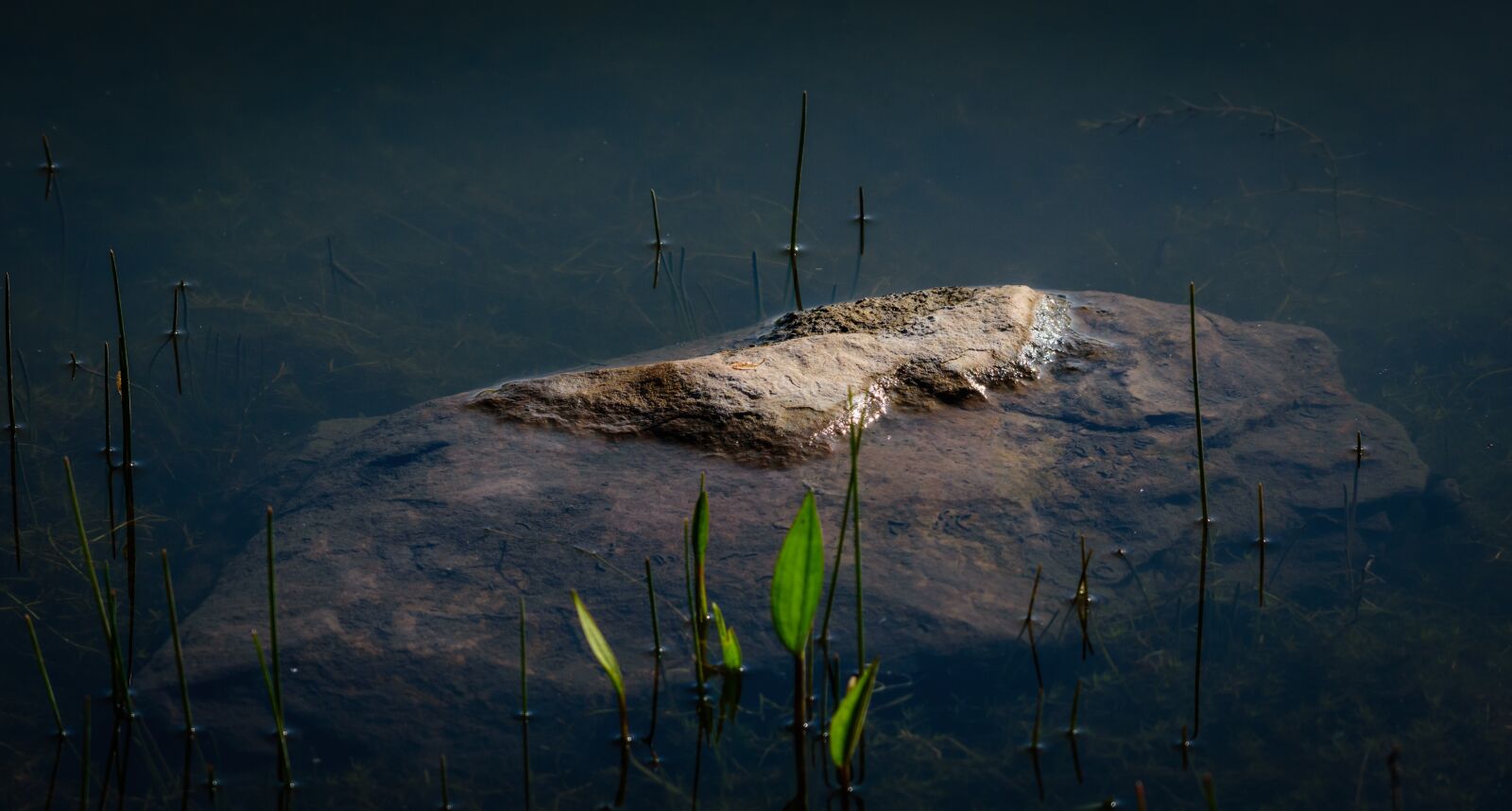 Nikon D7200 sample photo. Rock, water, stone photography