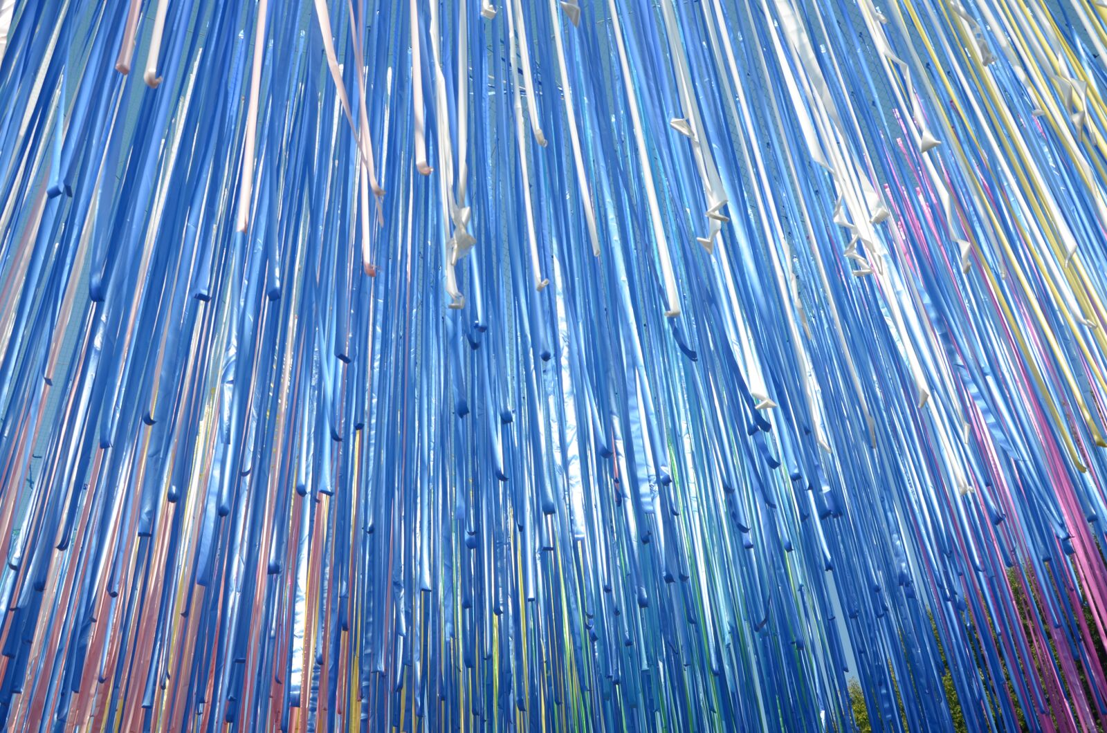 Nikon D5100 sample photo. The ribbon, installation, the photography