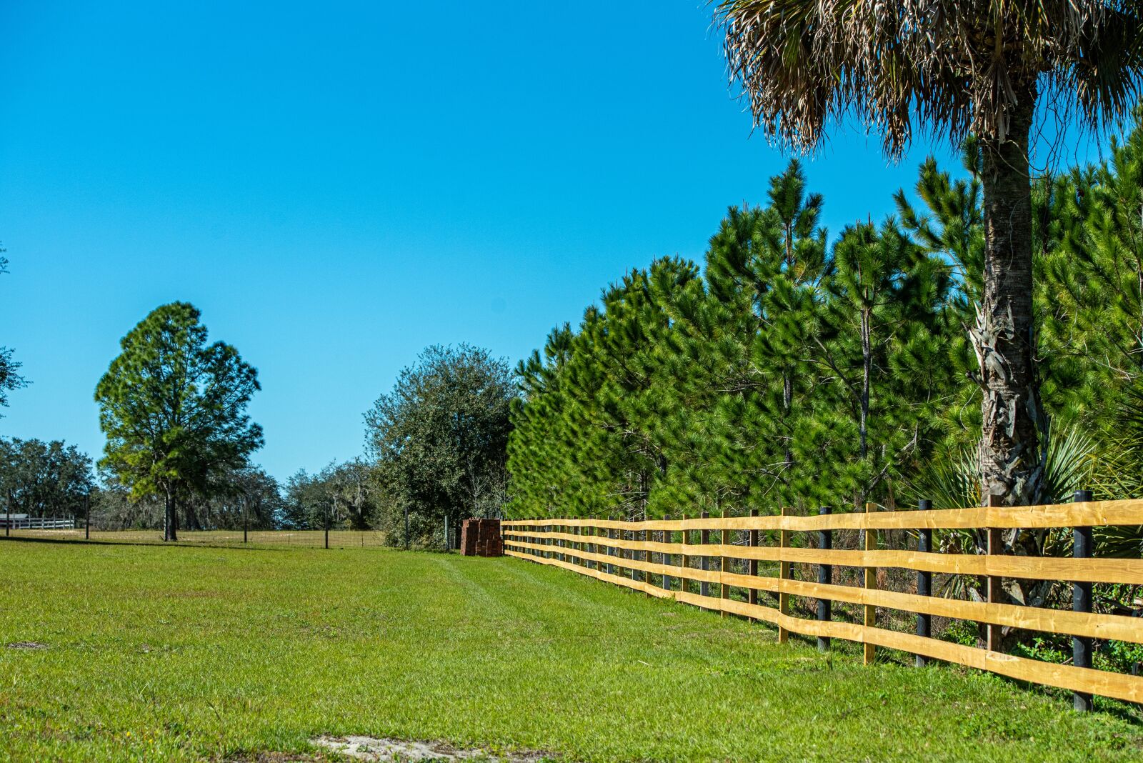 Nikon D750 sample photo. Fence, rail, farm photography