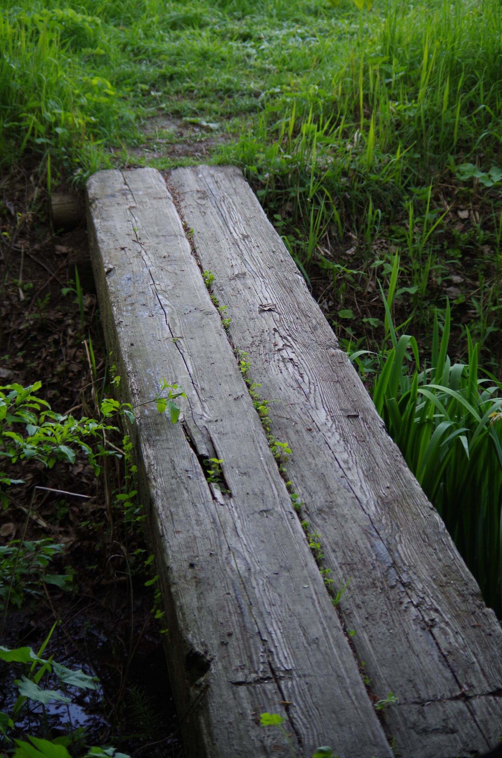 Pentax K-500 sample photo. Bench, bridge, wooden photography