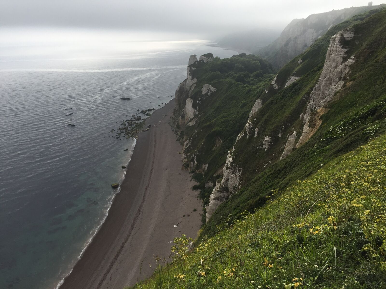 Apple iPhone 6 sample photo. Dorset, coast, british photography