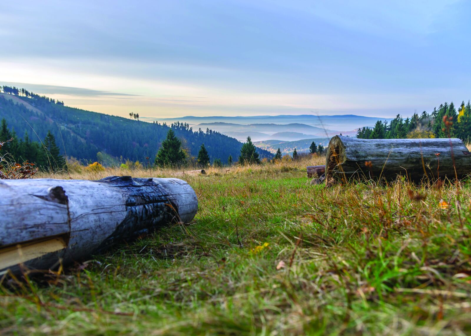 Nikon D7100 sample photo. Panorama, tree, meadow photography