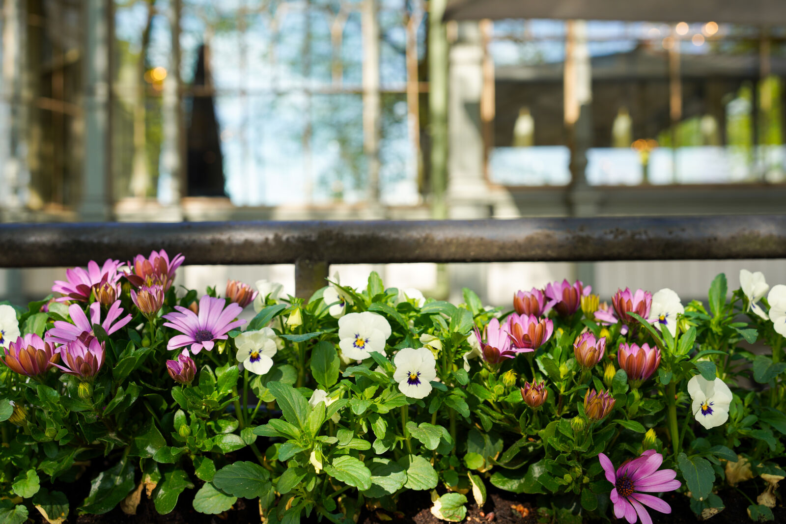 Sigma 35mm F1.4 DG DN Art sample photo. Flowerbed by chapel photography