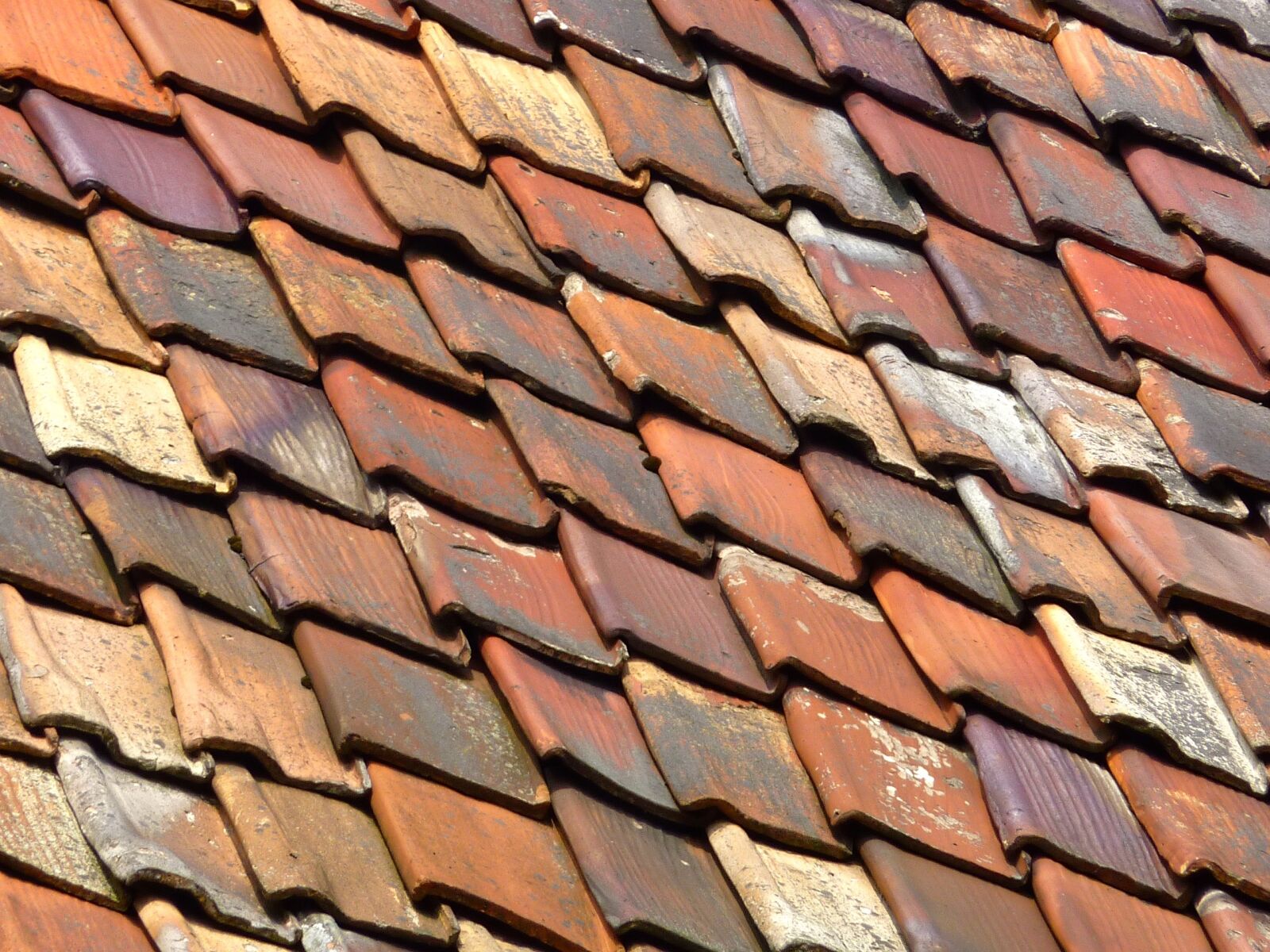 Panasonic Lumix DMC-ZS1 (Lumix DMC-TZ6) sample photo. Roof, old, house photography