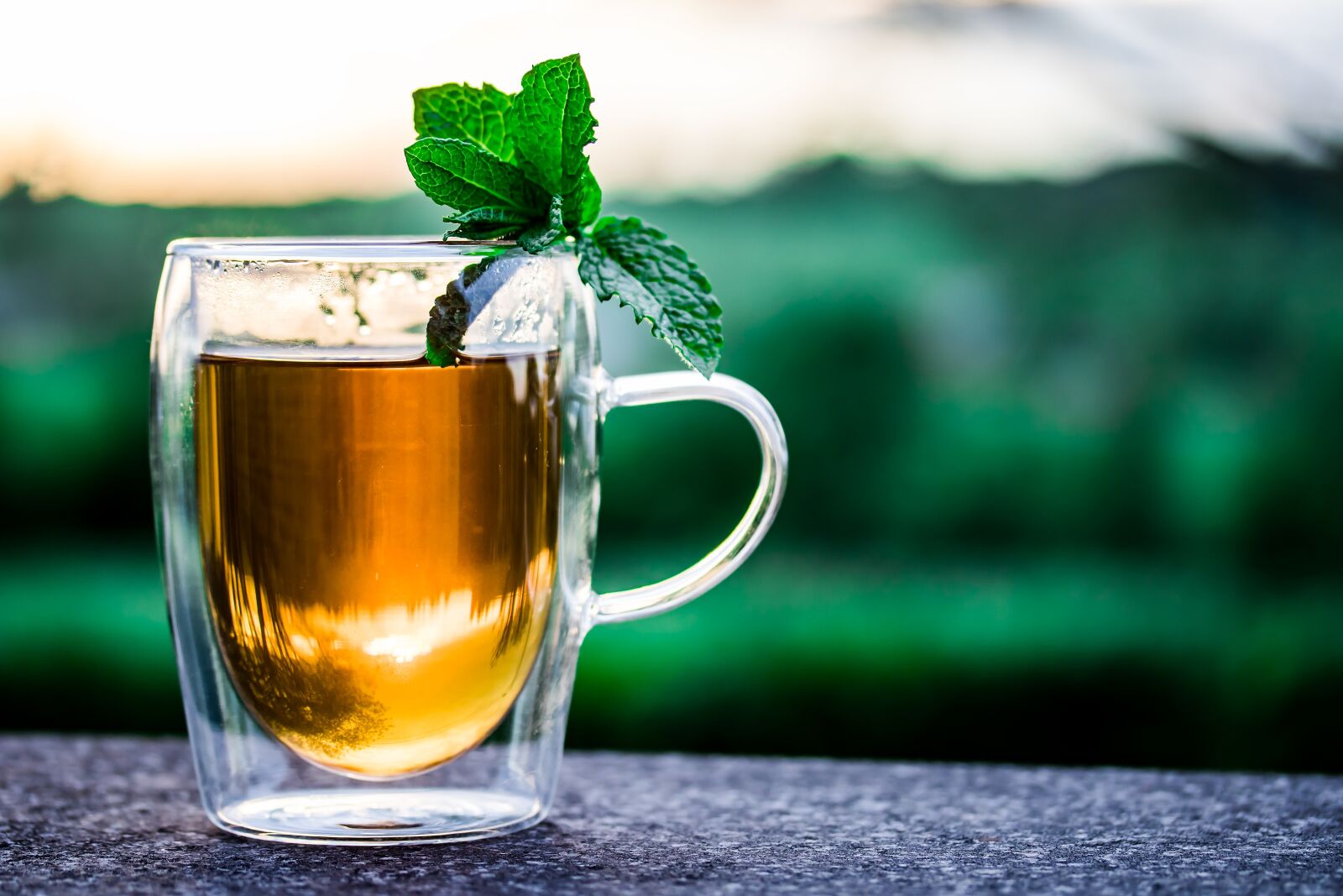 Canon EF-S 60mm F2.8 Macro USM sample photo. Teacup, cup of tea photography